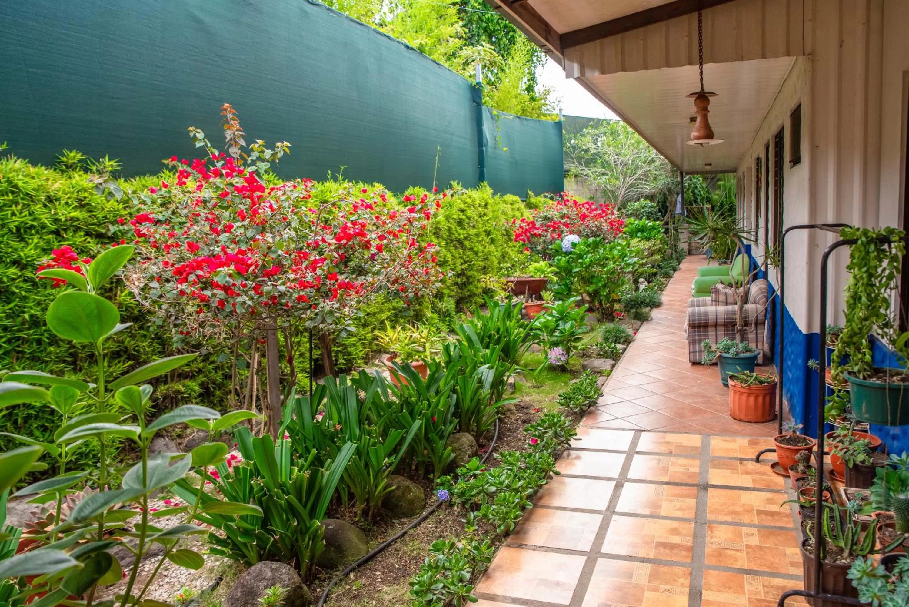 Patio in La Casa de Mamá Coyita