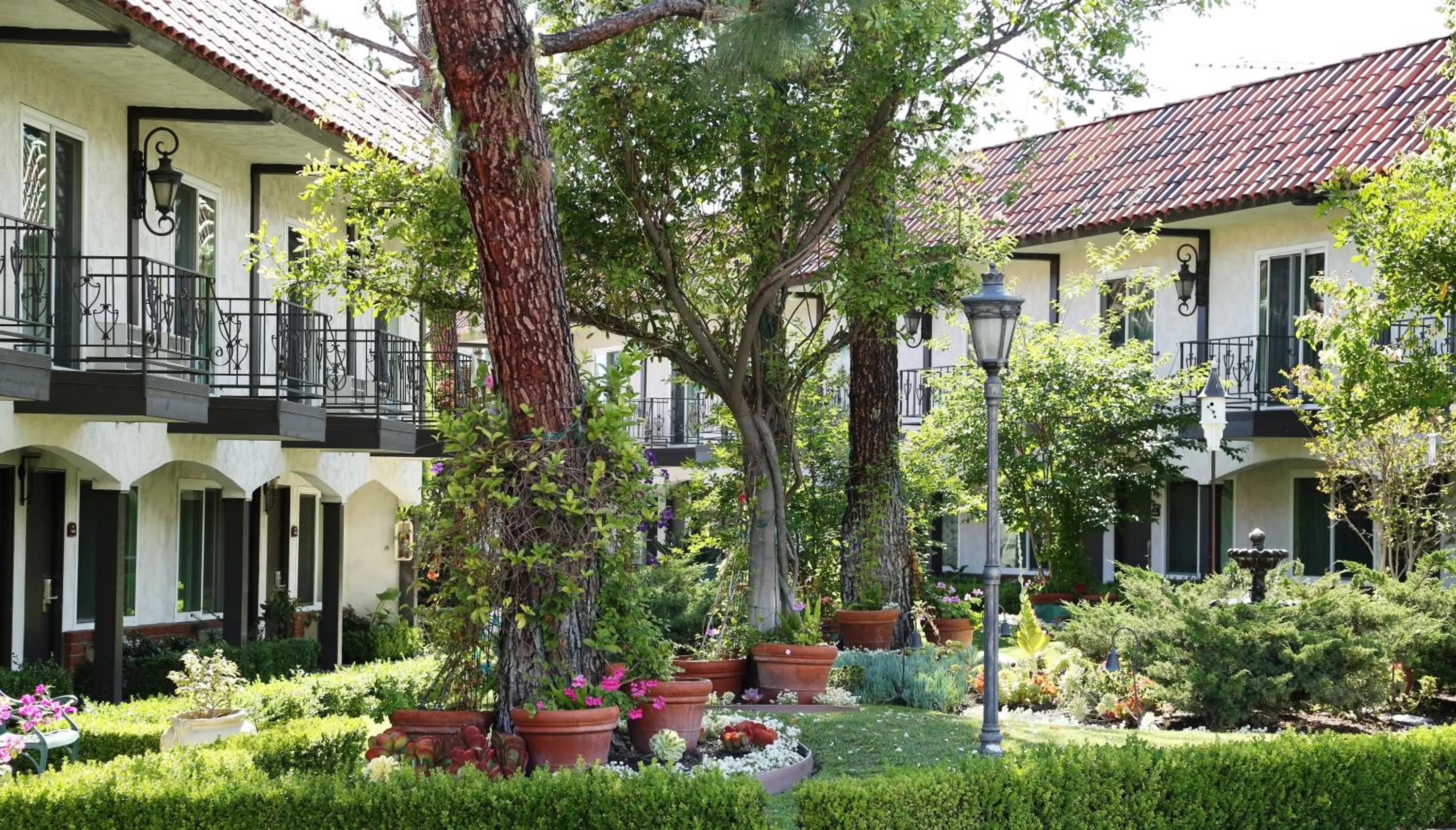 Garden in Laguna Hills Lodge-Irvine Spectrum