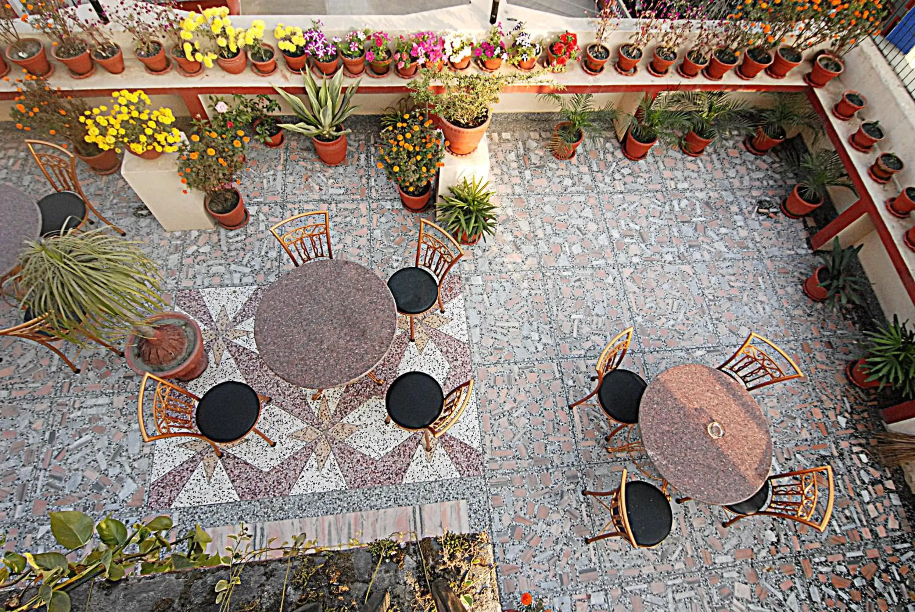 Garden in Kathmandu Grand Hotel