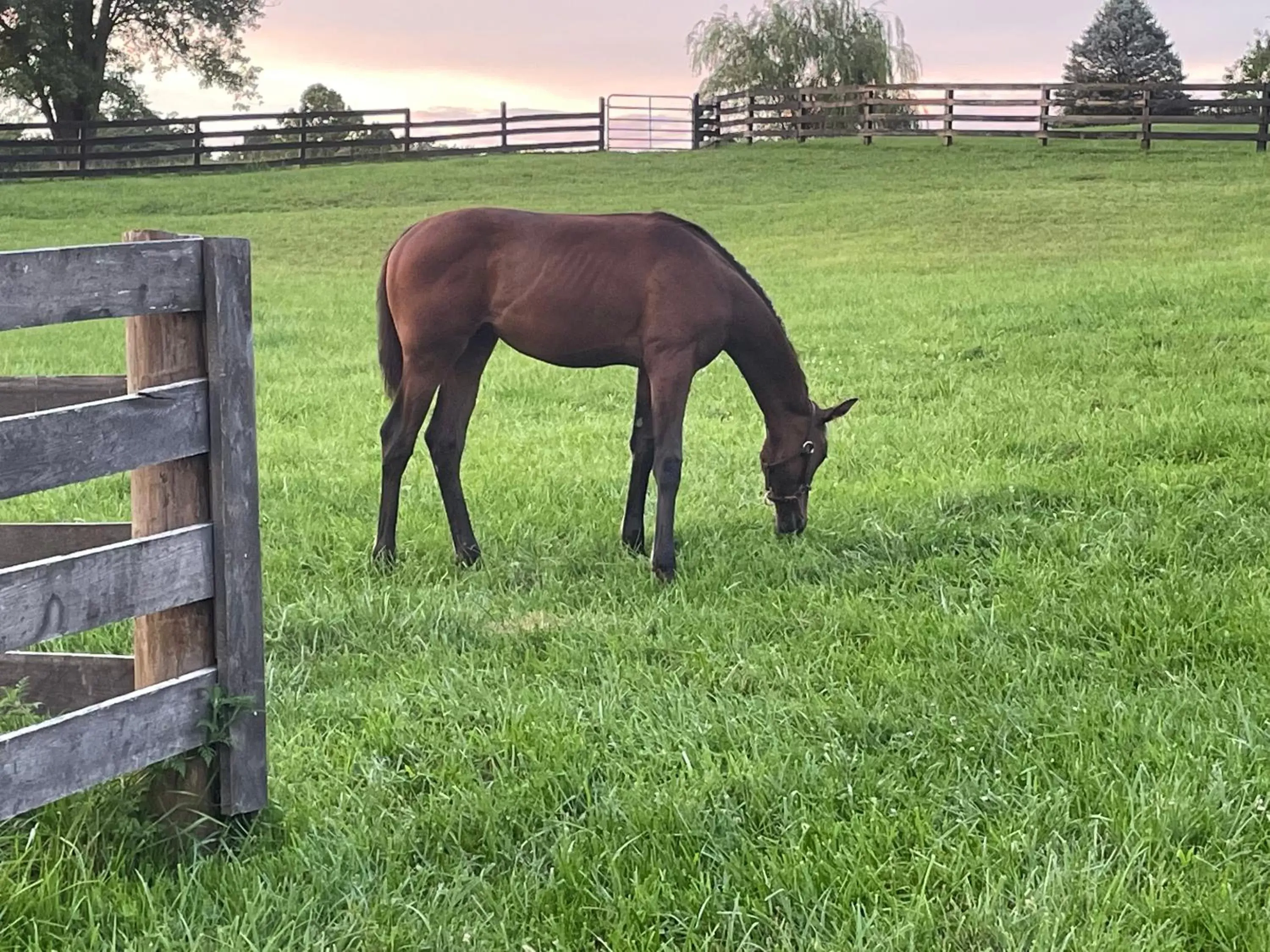View (from property/room) in Pillow and Paddock B&B View (from property/room) in Pillow and Paddock B&B