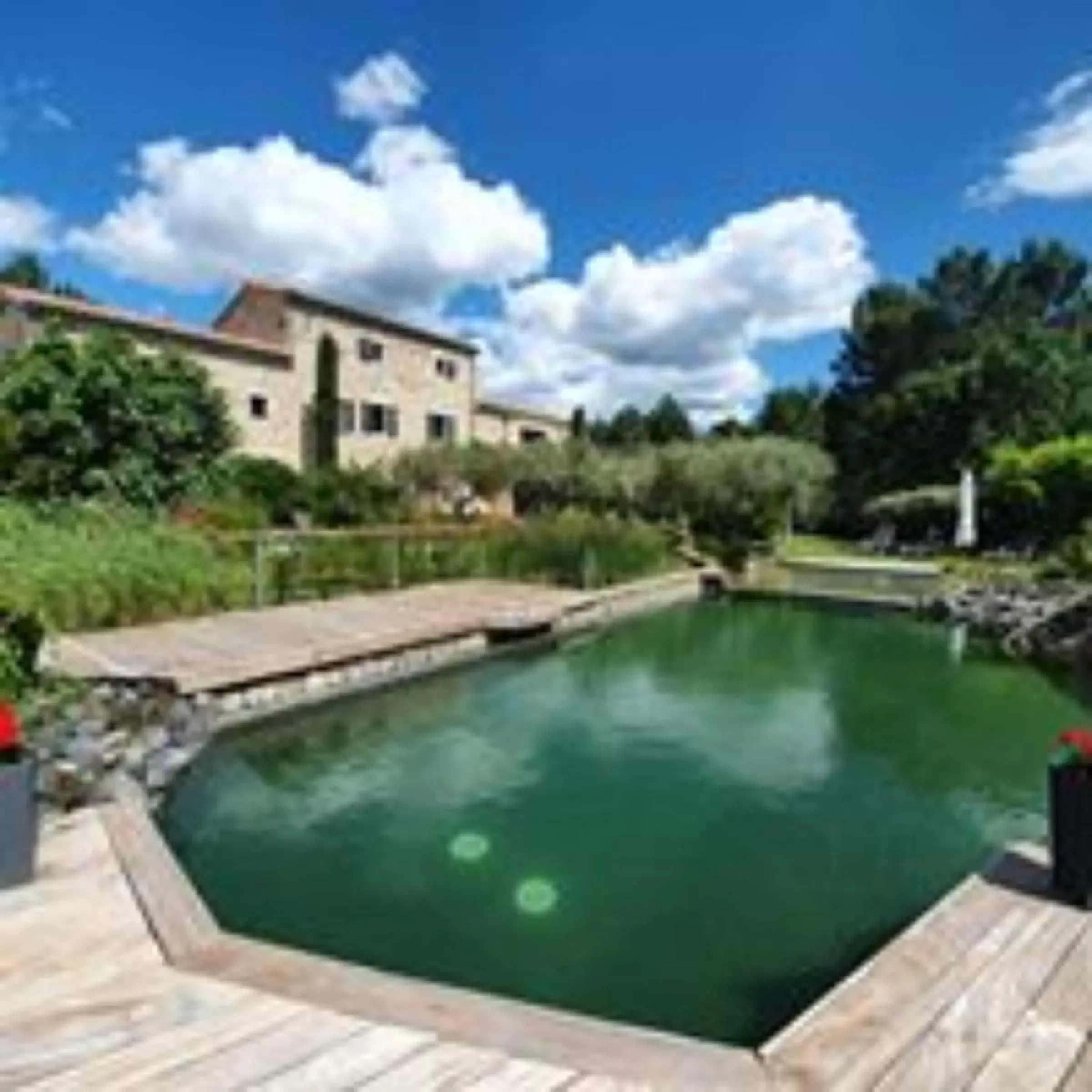Garden, Swimming Pool in Le Mas de Baume