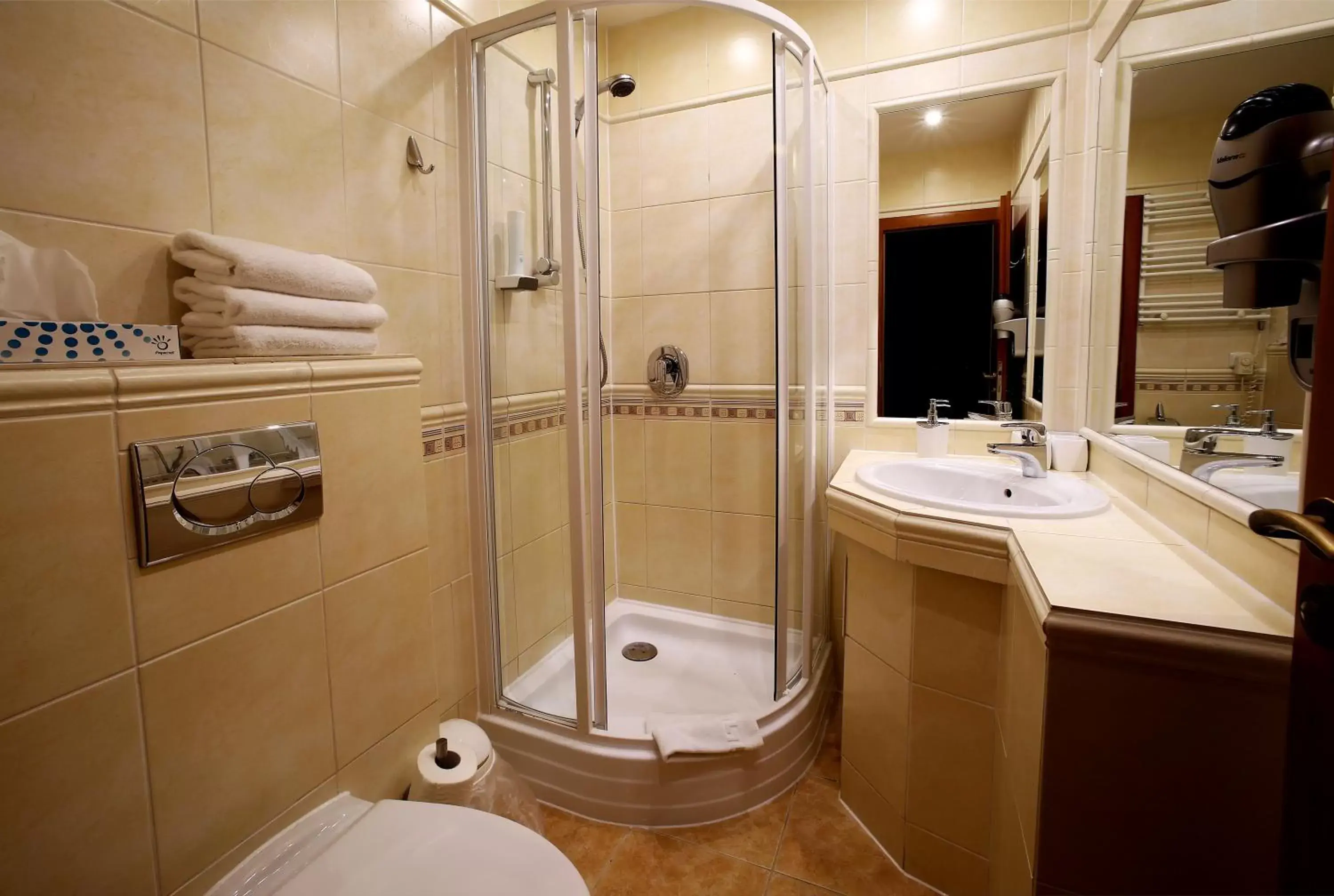 Shower, Bathroom in Hotel Roudna