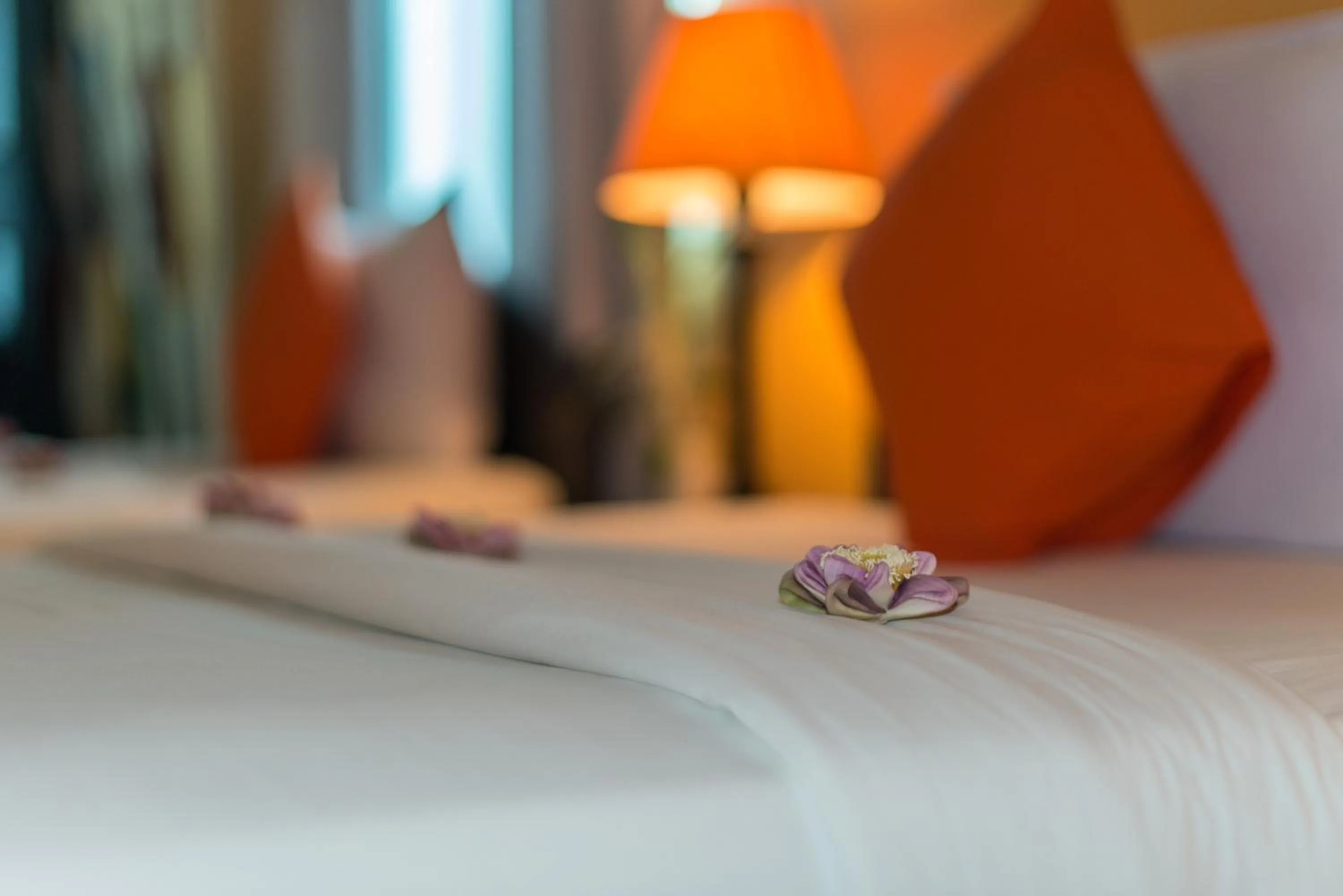 Photo of the whole room, Bed in JK Resident