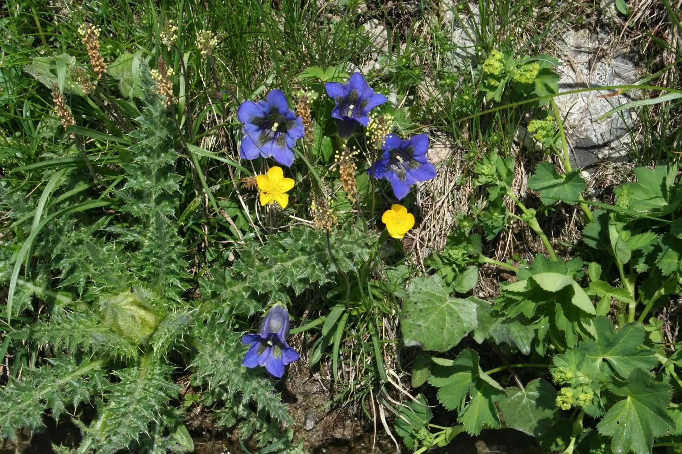 Summer in BnB Claudy et Elizabeth Michellod-Dutheil