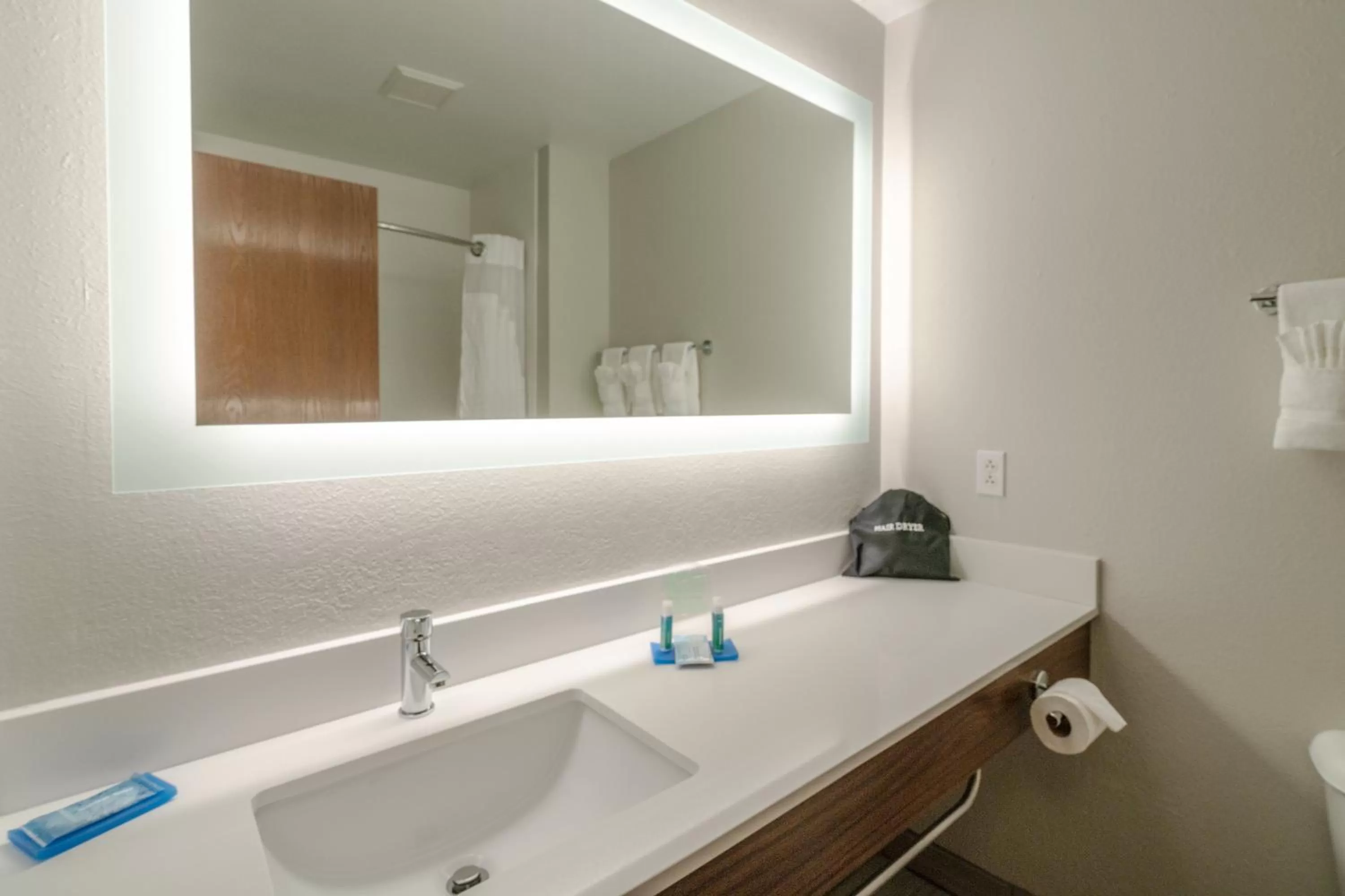 Bathroom in Holiday Inn Express Hotel & Suites Elkins by IHG