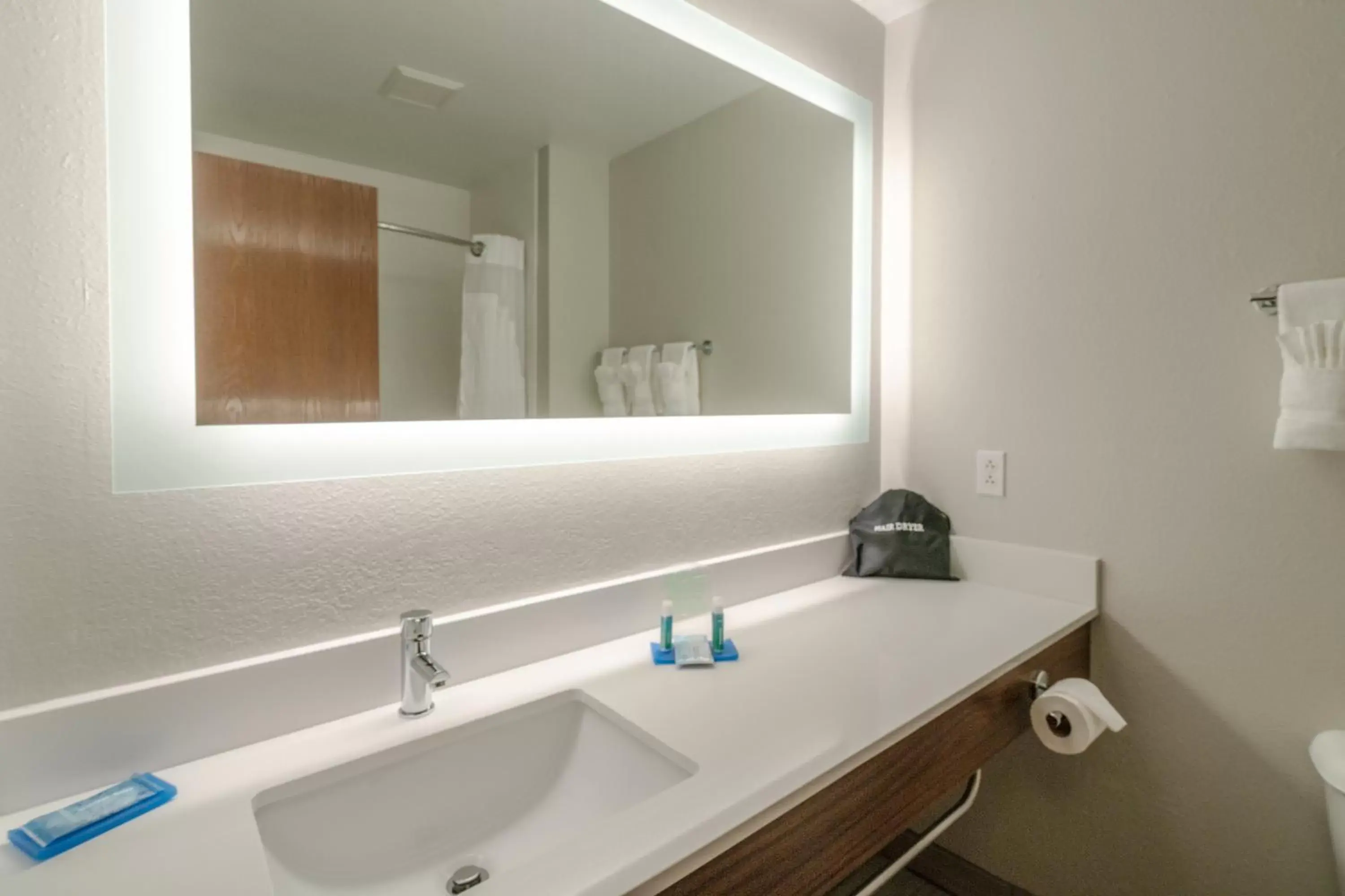 Bathroom in Holiday Inn Express Hotel & Suites Elkins, an IHG Hotel