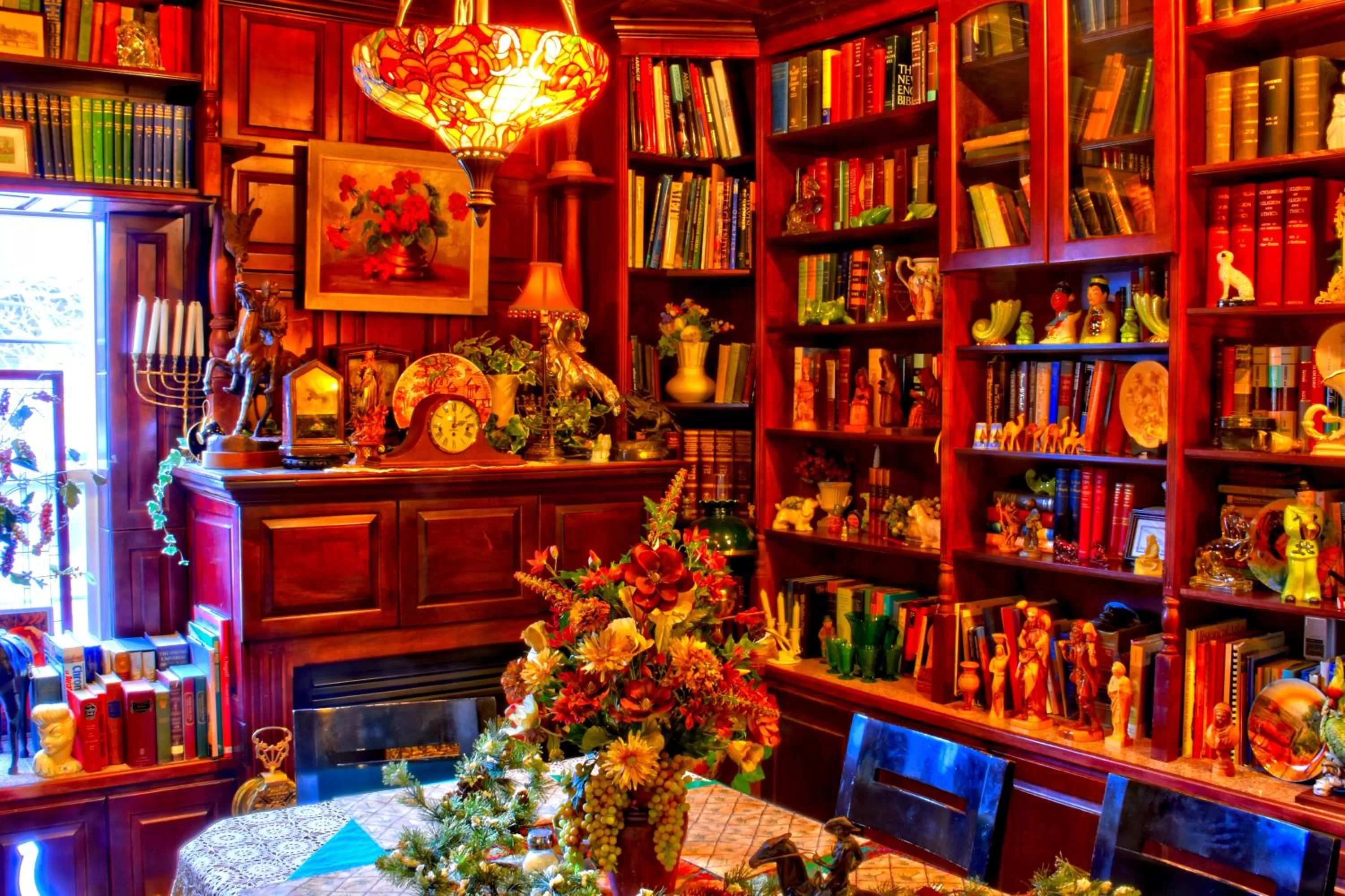 Library in Big Yellow Inn