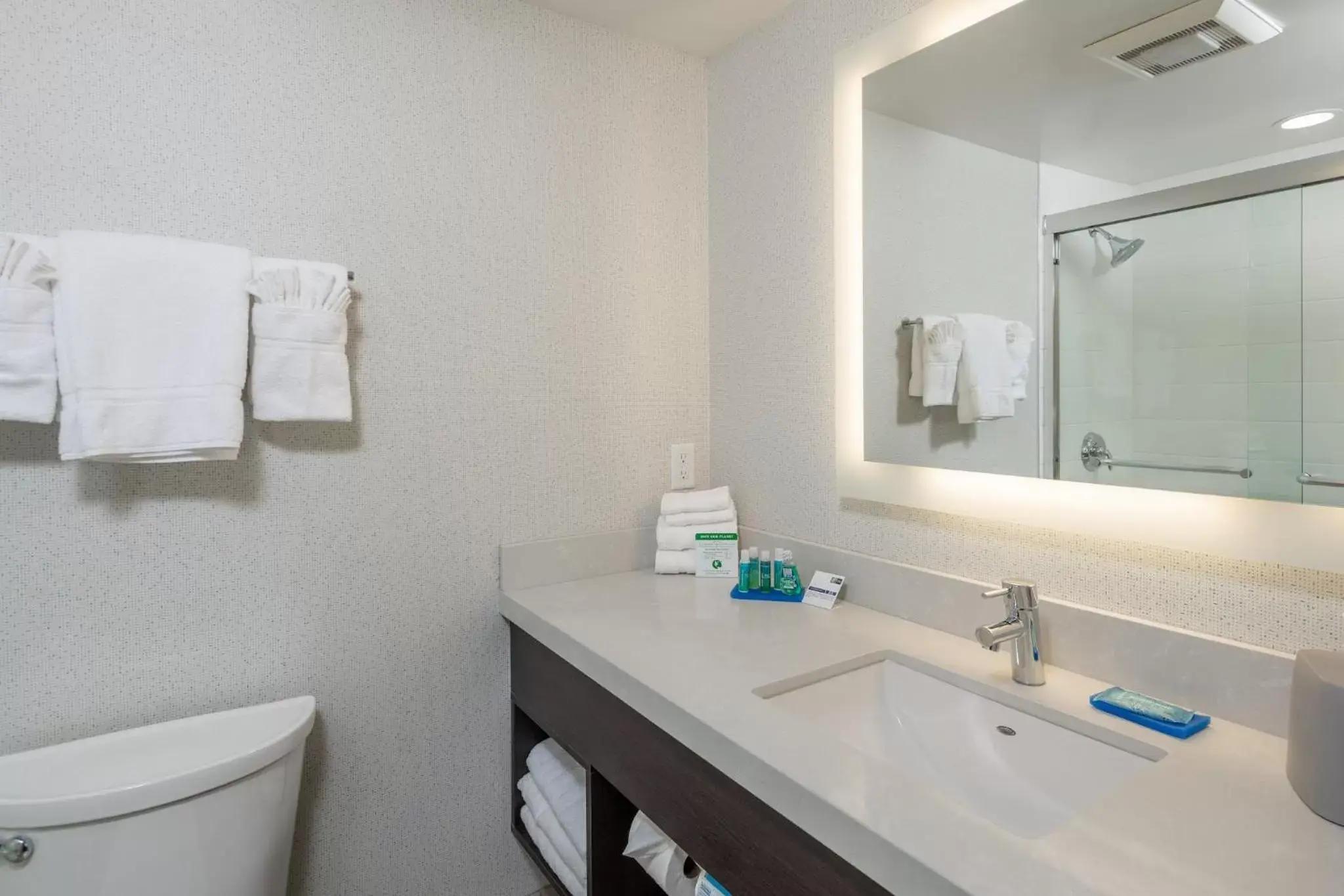 Bathroom in Holiday Inn Express - Sunnyvale - Silicon Valley, an IHG Hotel