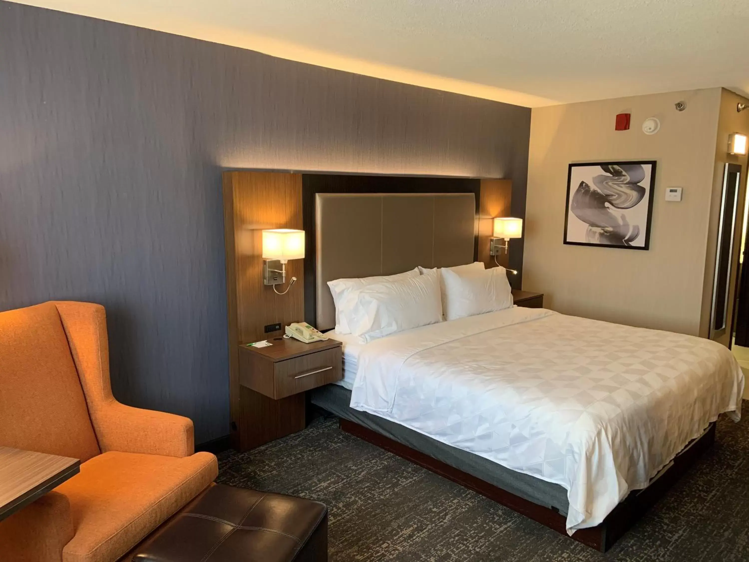 Photo of the whole room, Bed in Holiday Inn & Suites Chicago-Carol Stream Wheaton, an IHG Hotel