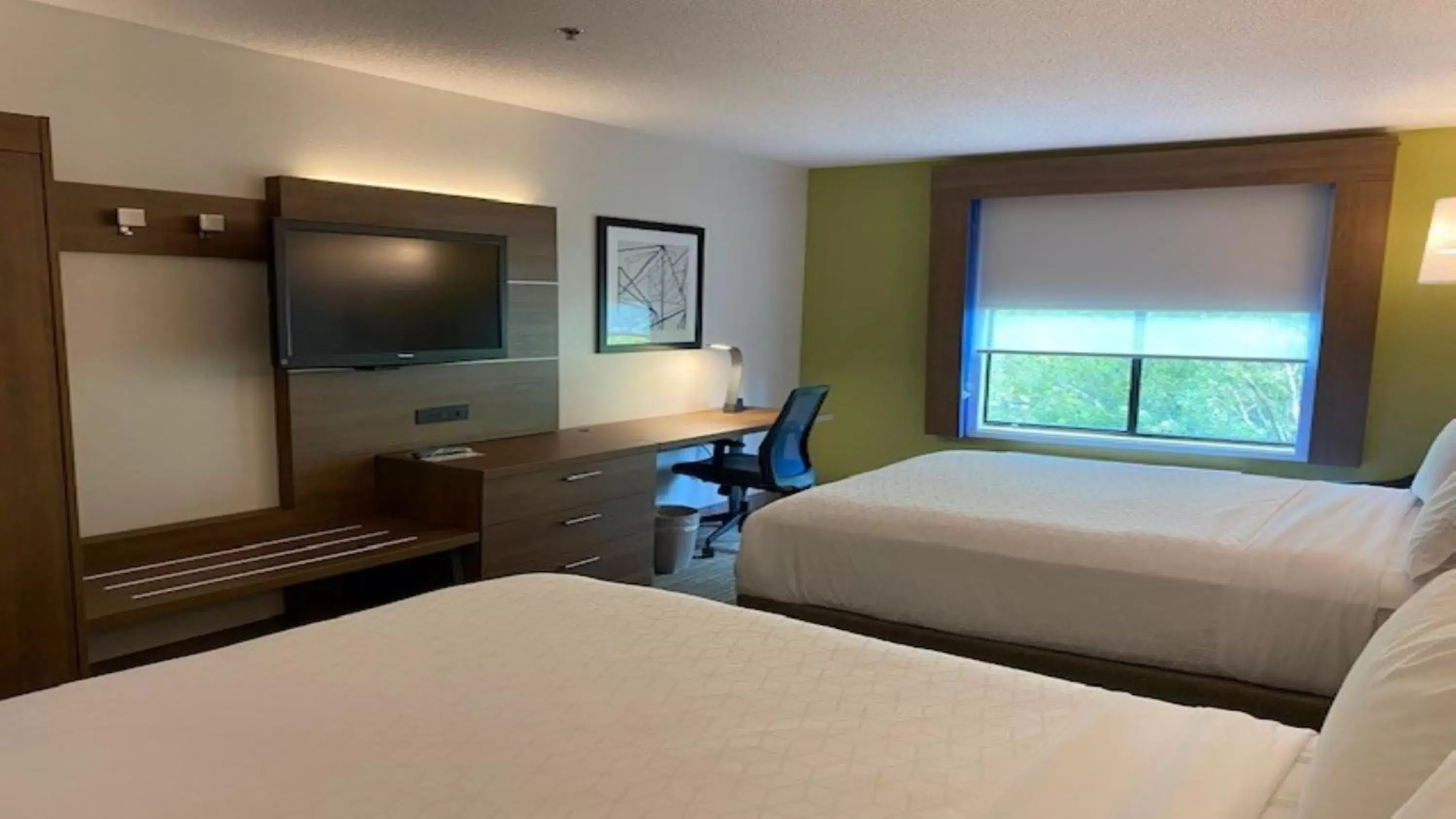Photo of the whole room, Bed in Holiday Inn Express & Suites Reidsville, an IHG Hotel