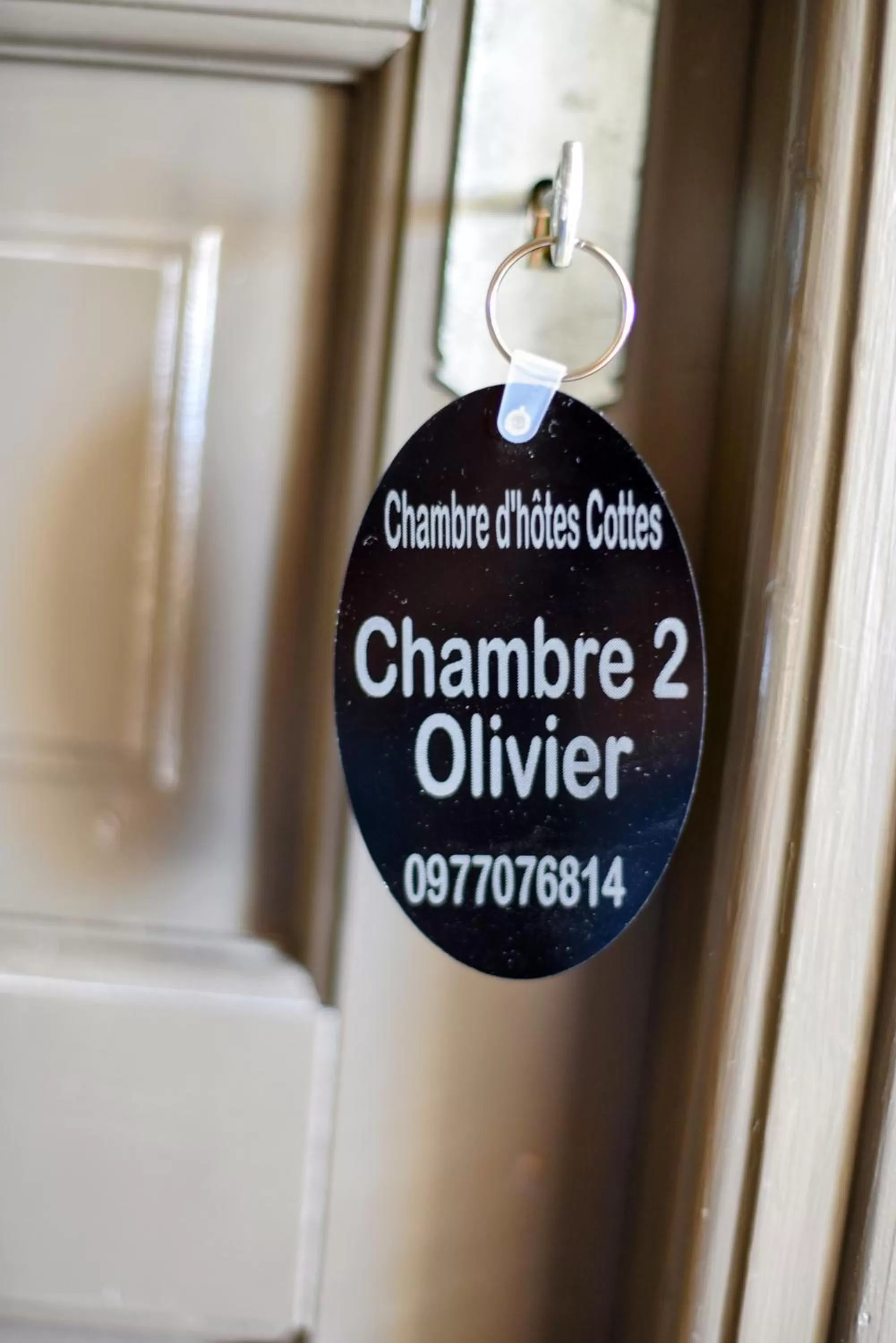 Decorative detail in Chambre d'hôtes Cottes