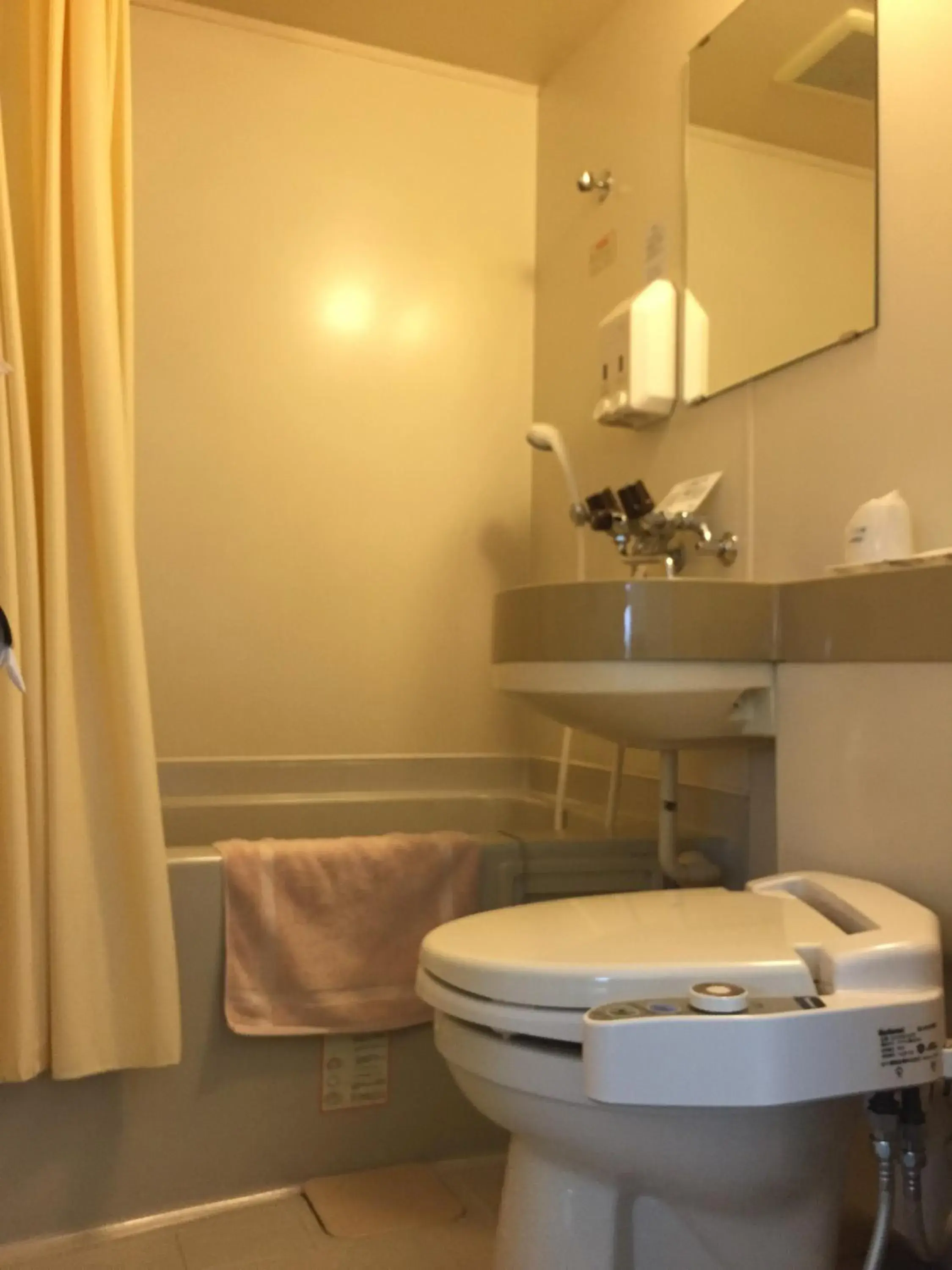 Bathroom in SkyHeart Hotel Kawasaki