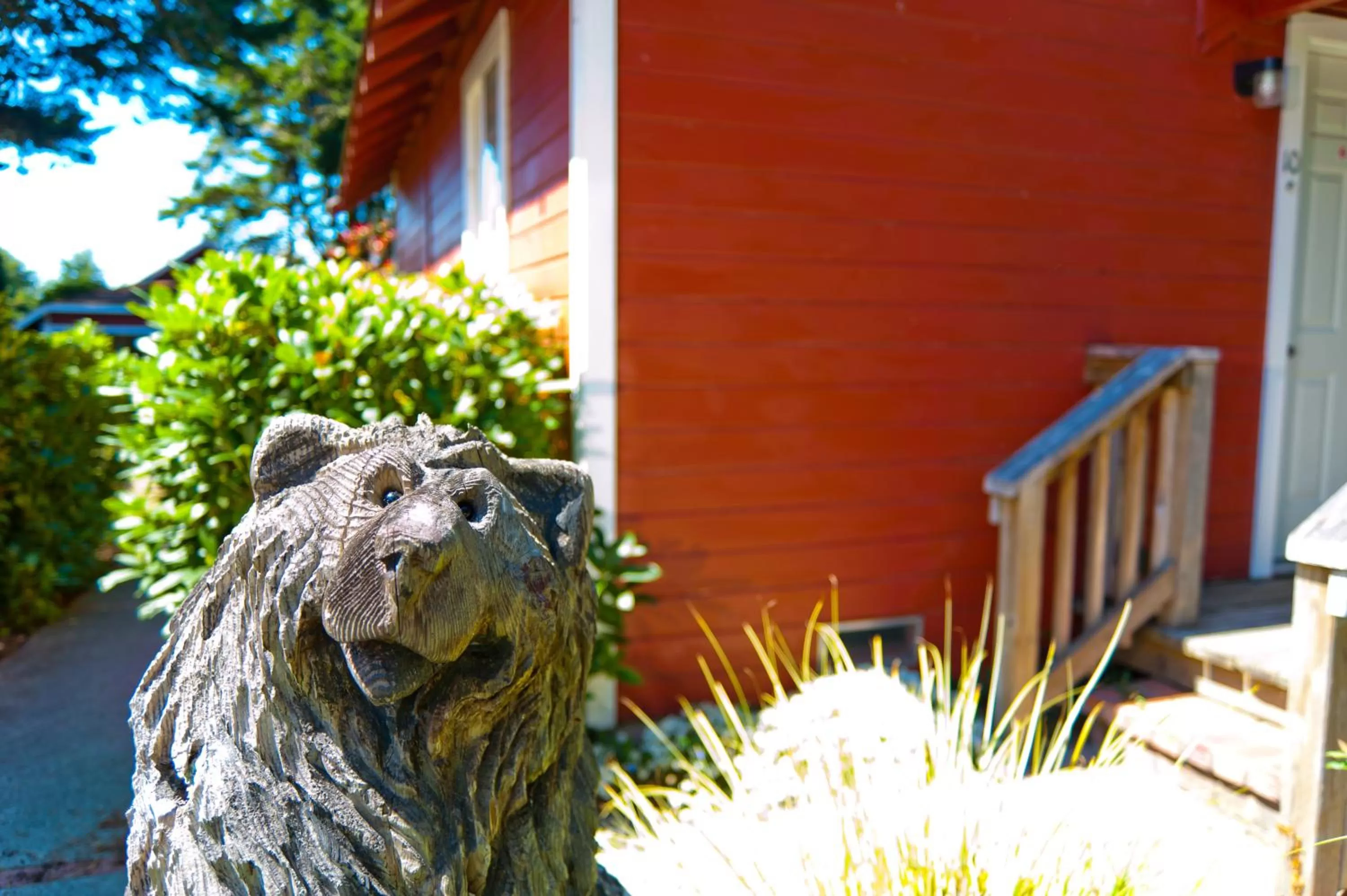 Area and facilities in View Crest Lodge