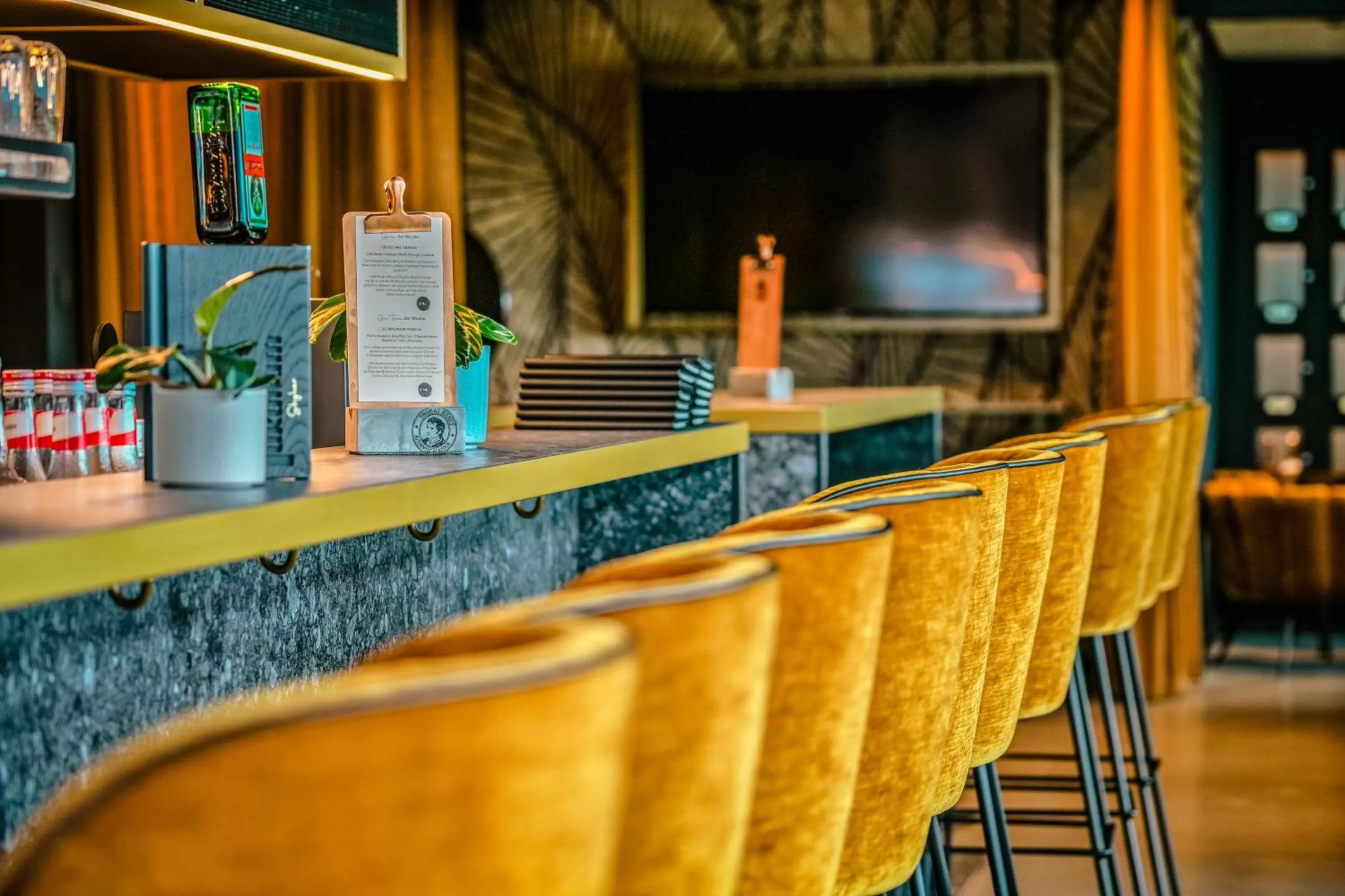 Lounge or bar in Lukullum