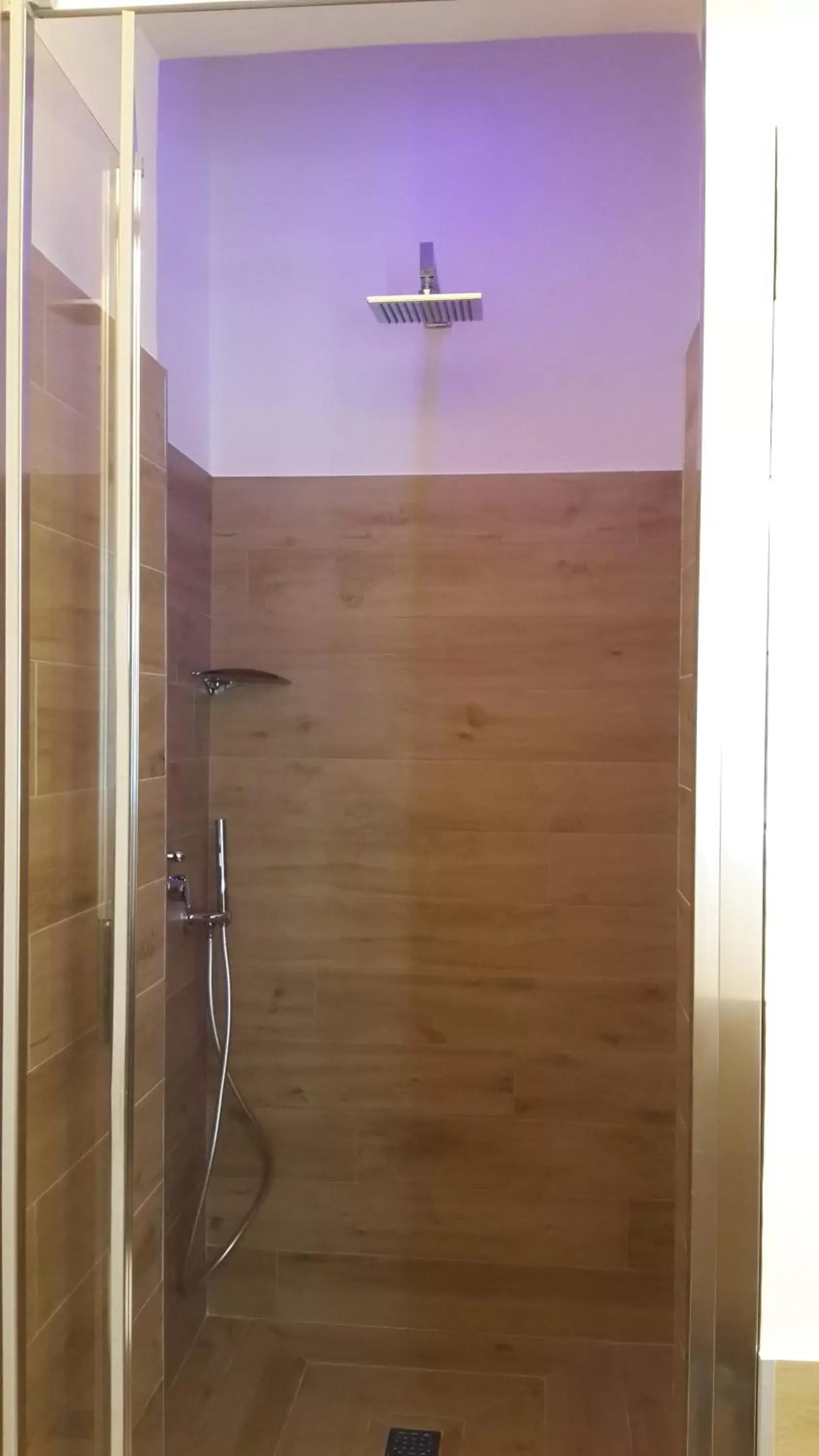 Shower, Bathroom in Cameo B&B