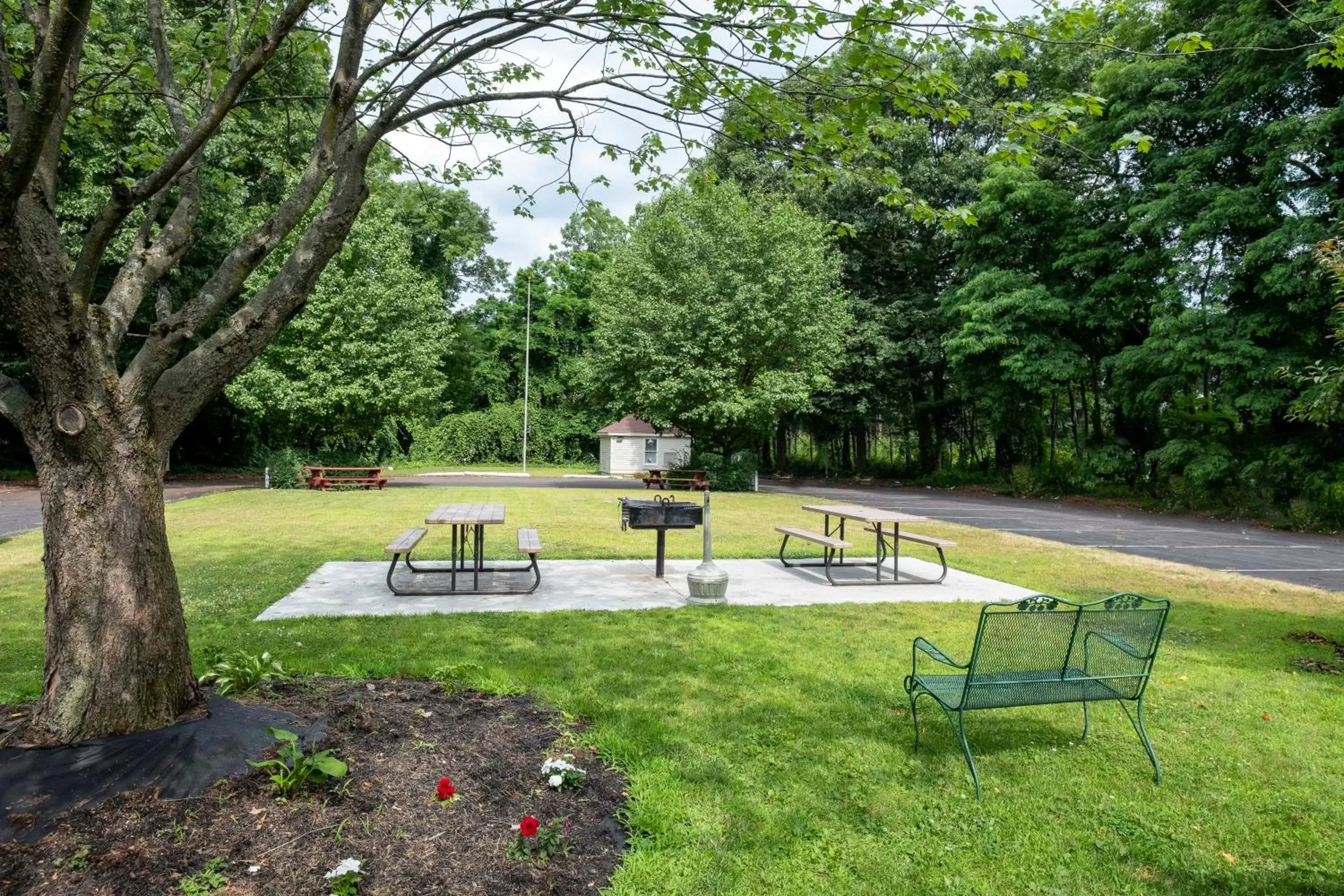 BBQ facilities, Swimming Pool in Red Roof Inn Clifton Park