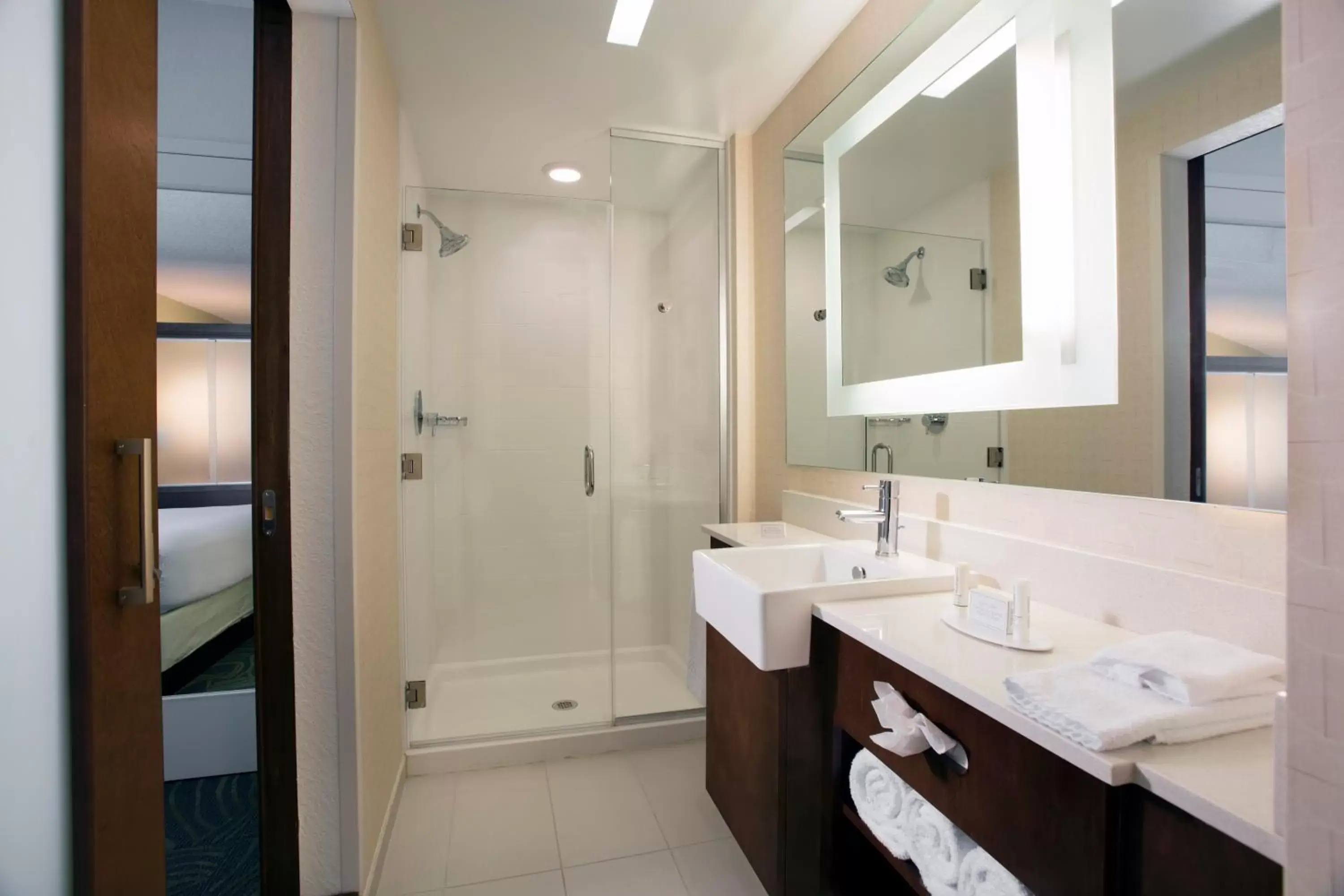 Shower, Bathroom in SpringHill Suites by Marriott Orlando at FLAMINGO CROSSINGS Town Center-Western Entrance