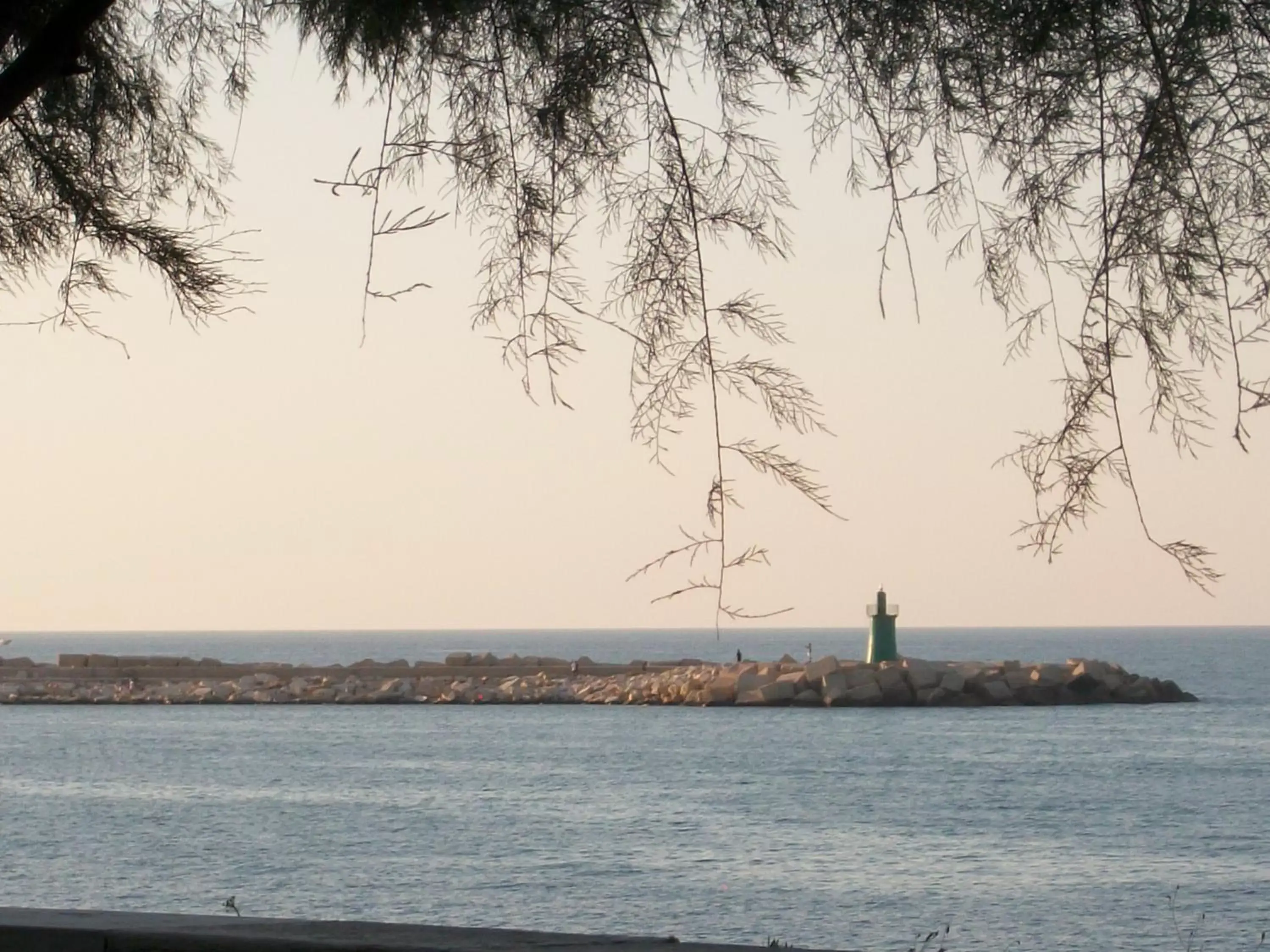 Sea view, Natural Landscape in Il faletto