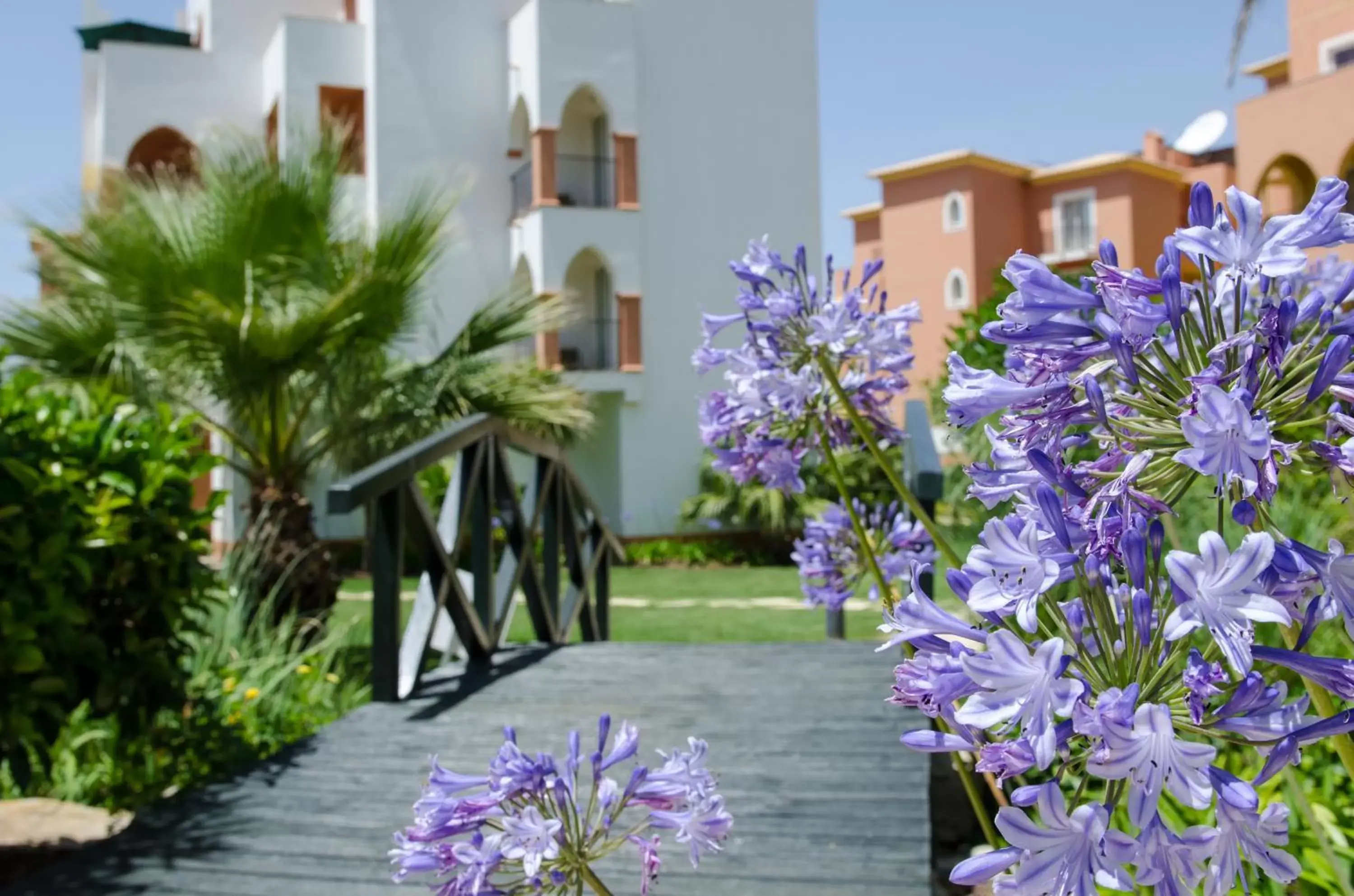 Garden, Property Building in Jardim da Meia Praia Resort