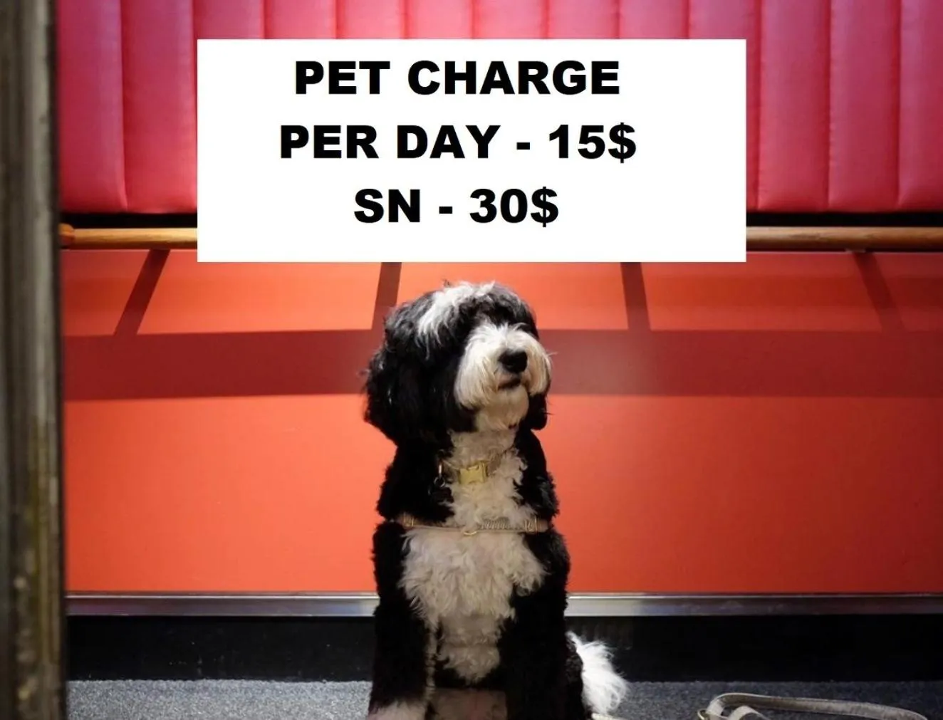 Super 8 by Wyndham Paris IL