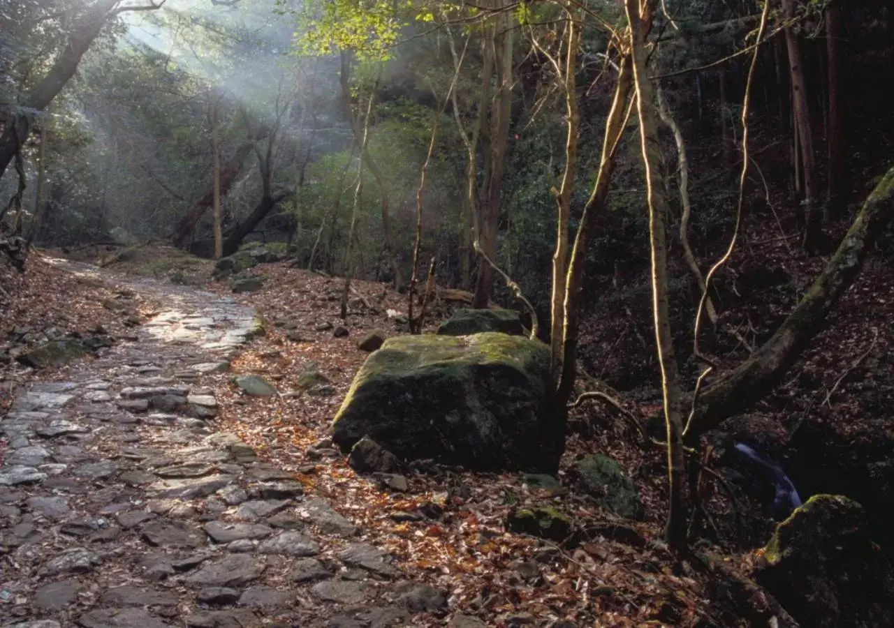 Natural Landscape in AB Hotel Nara