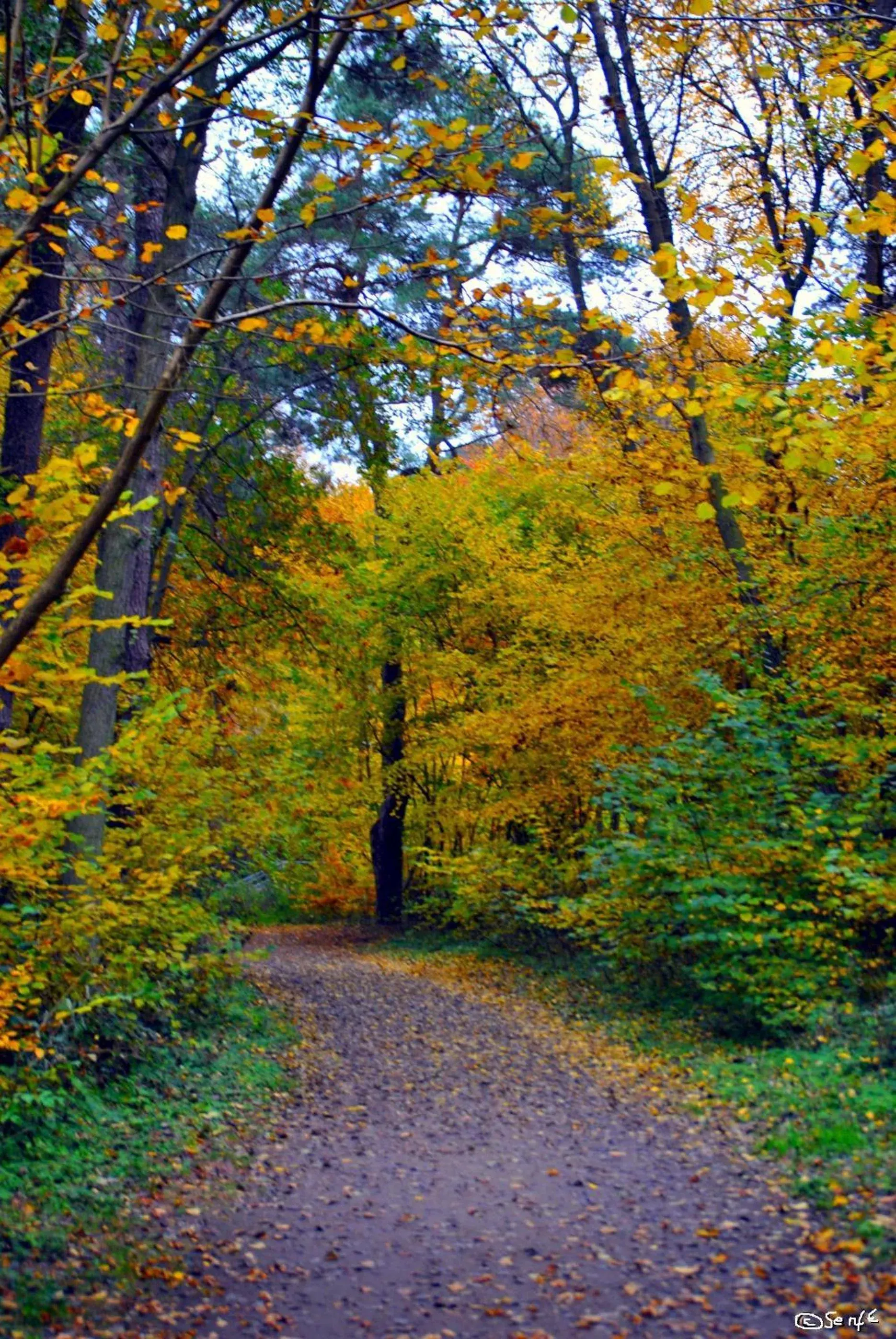 Day, Natural Landscape in Hotel zwischen den Seen