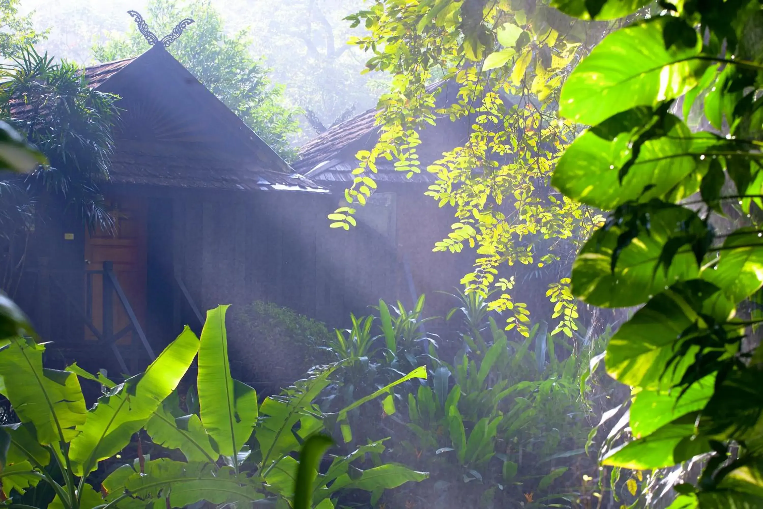 Garden in Lampang River Lodge (SHA Certified)