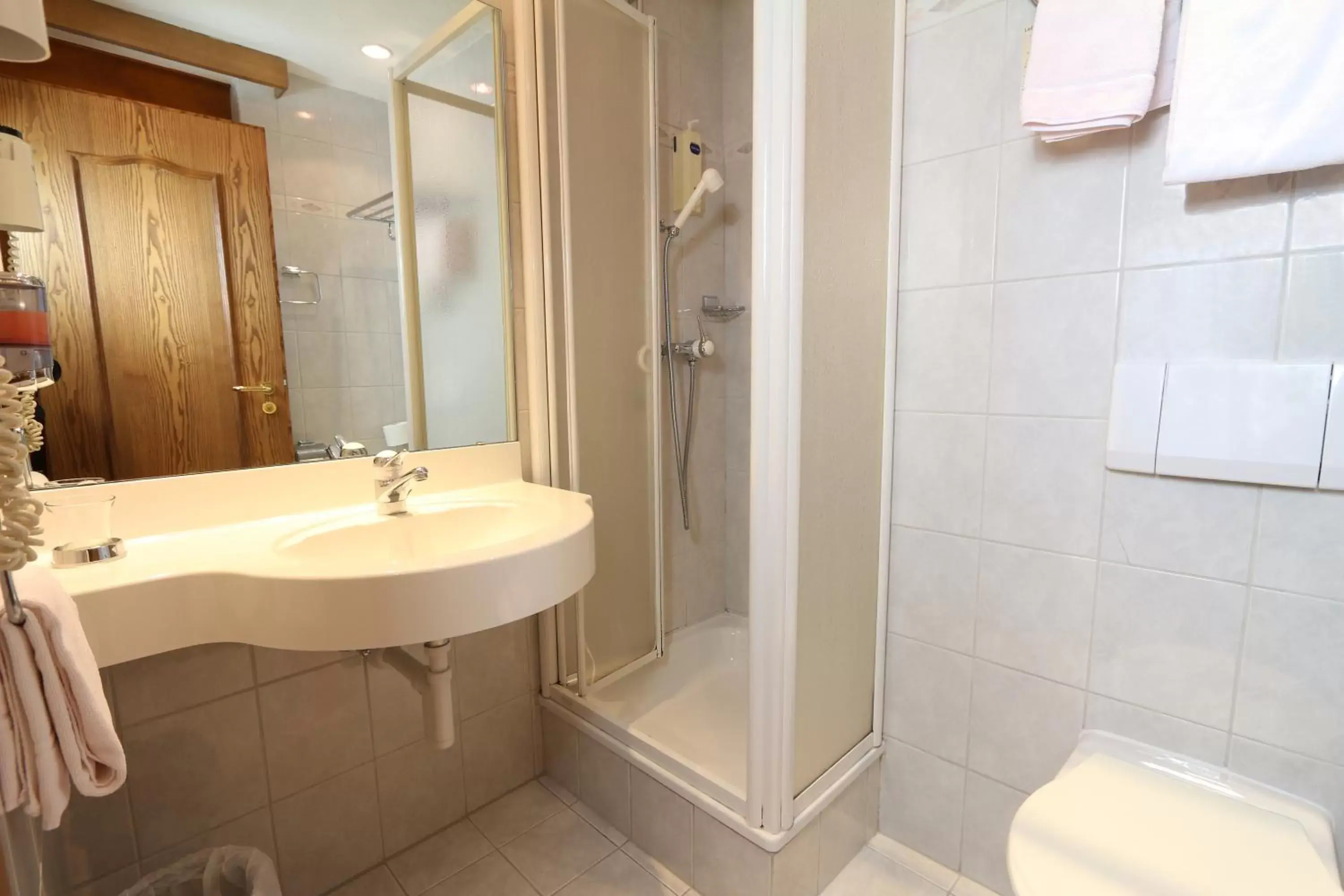 Shower, Bathroom in Hotel Imseng
