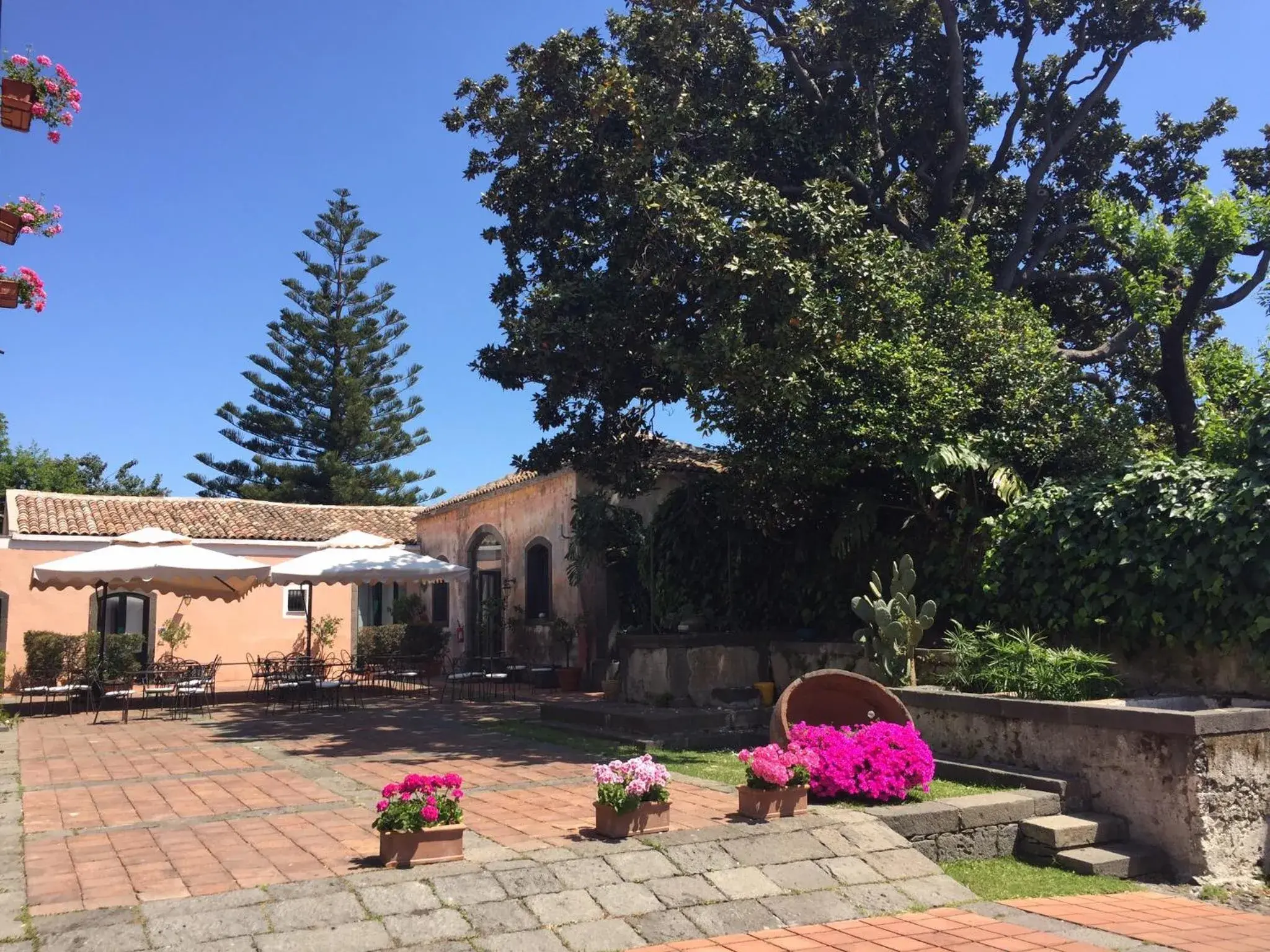 Garden in Etna Hotel