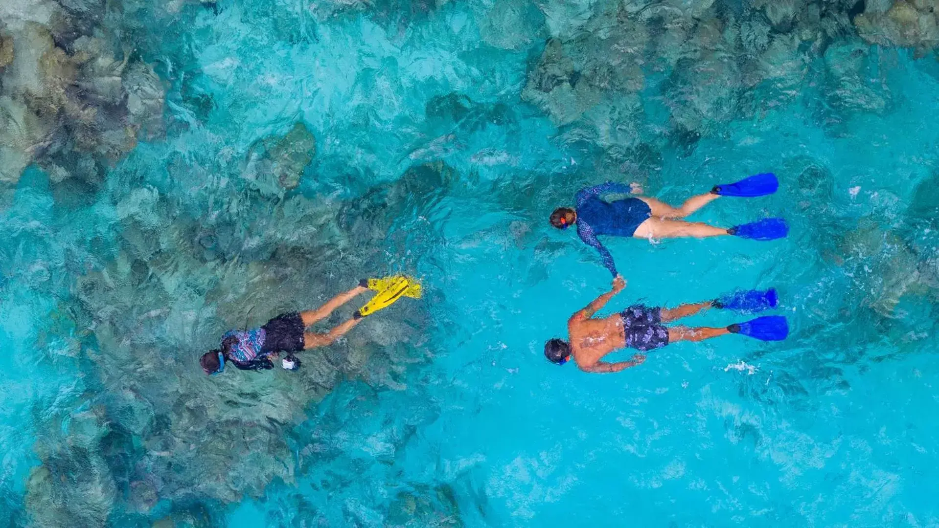 Snorkeling, Swimming Pool in Arena Beach Hotel