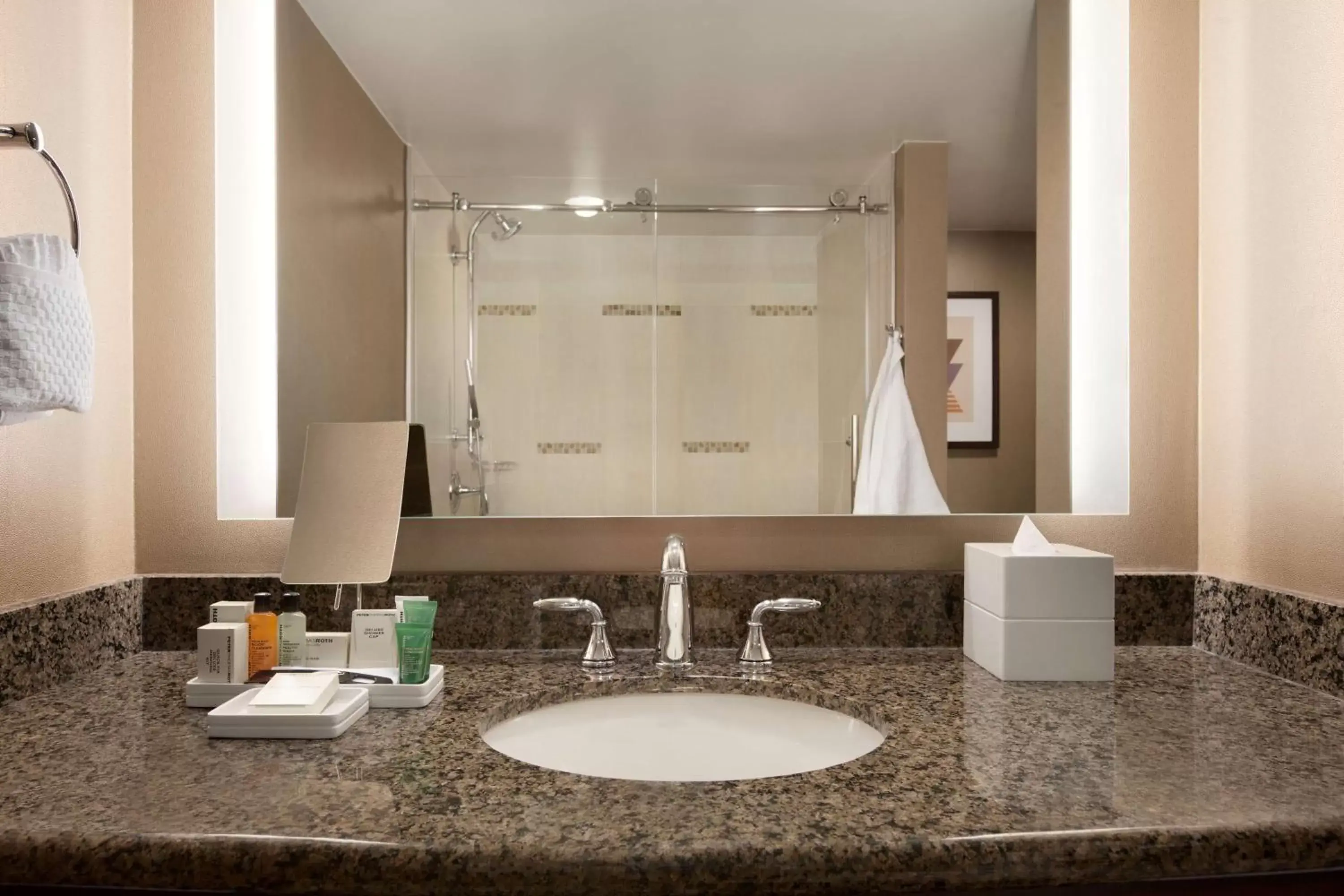Bathroom in Hilton Arlington