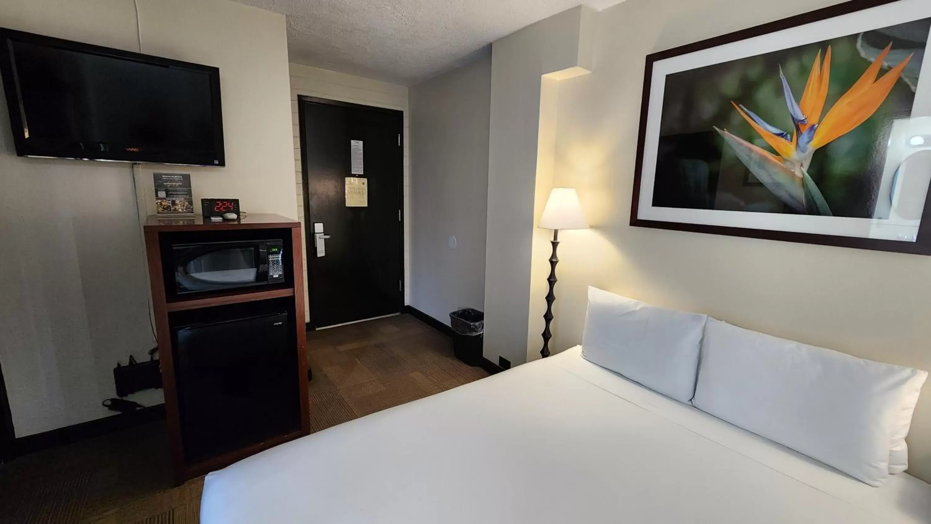 Bed, TV/Entertainment Center in Stay Hotel Waikiki