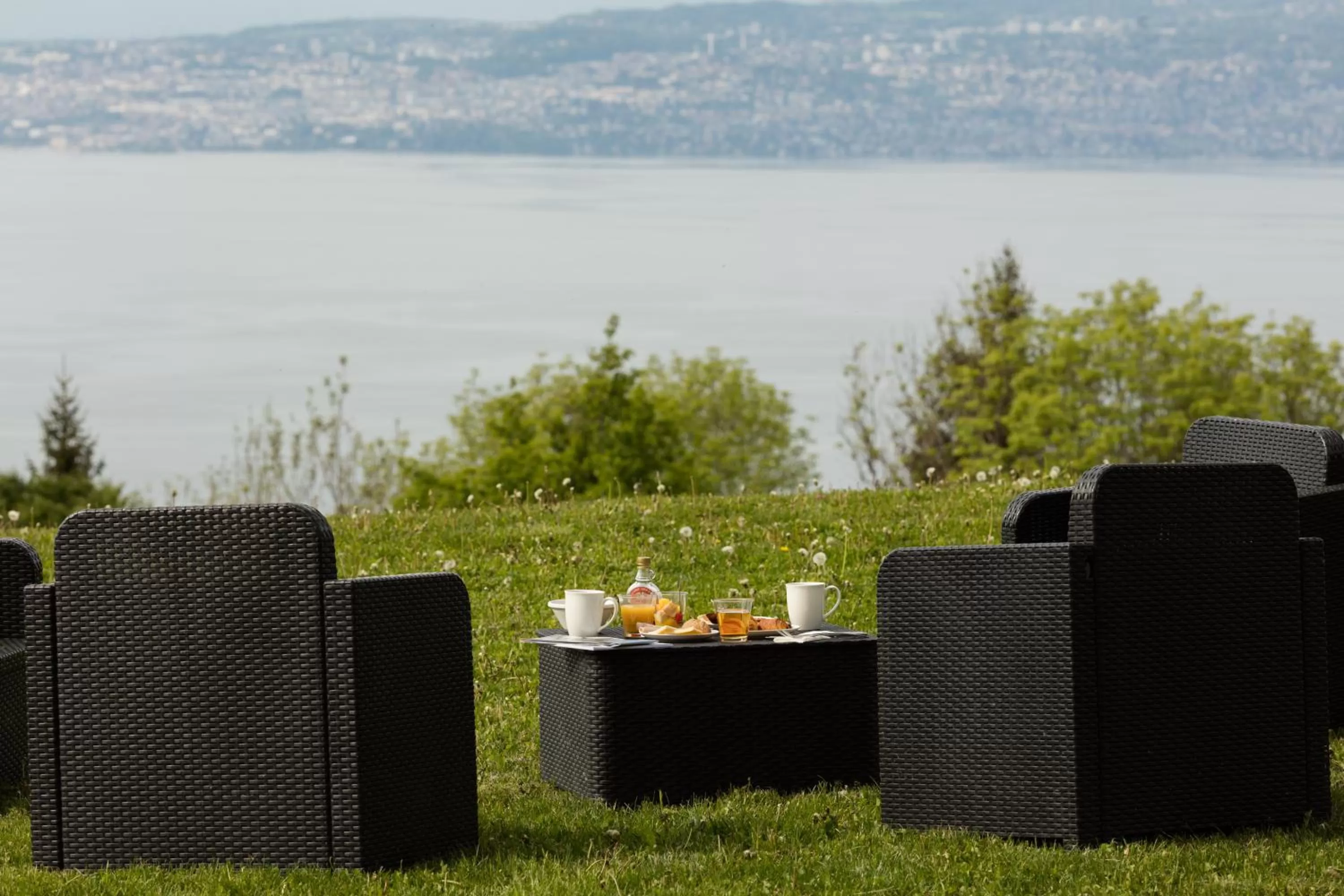 Lake view in Garden & City Evian - Lugrin