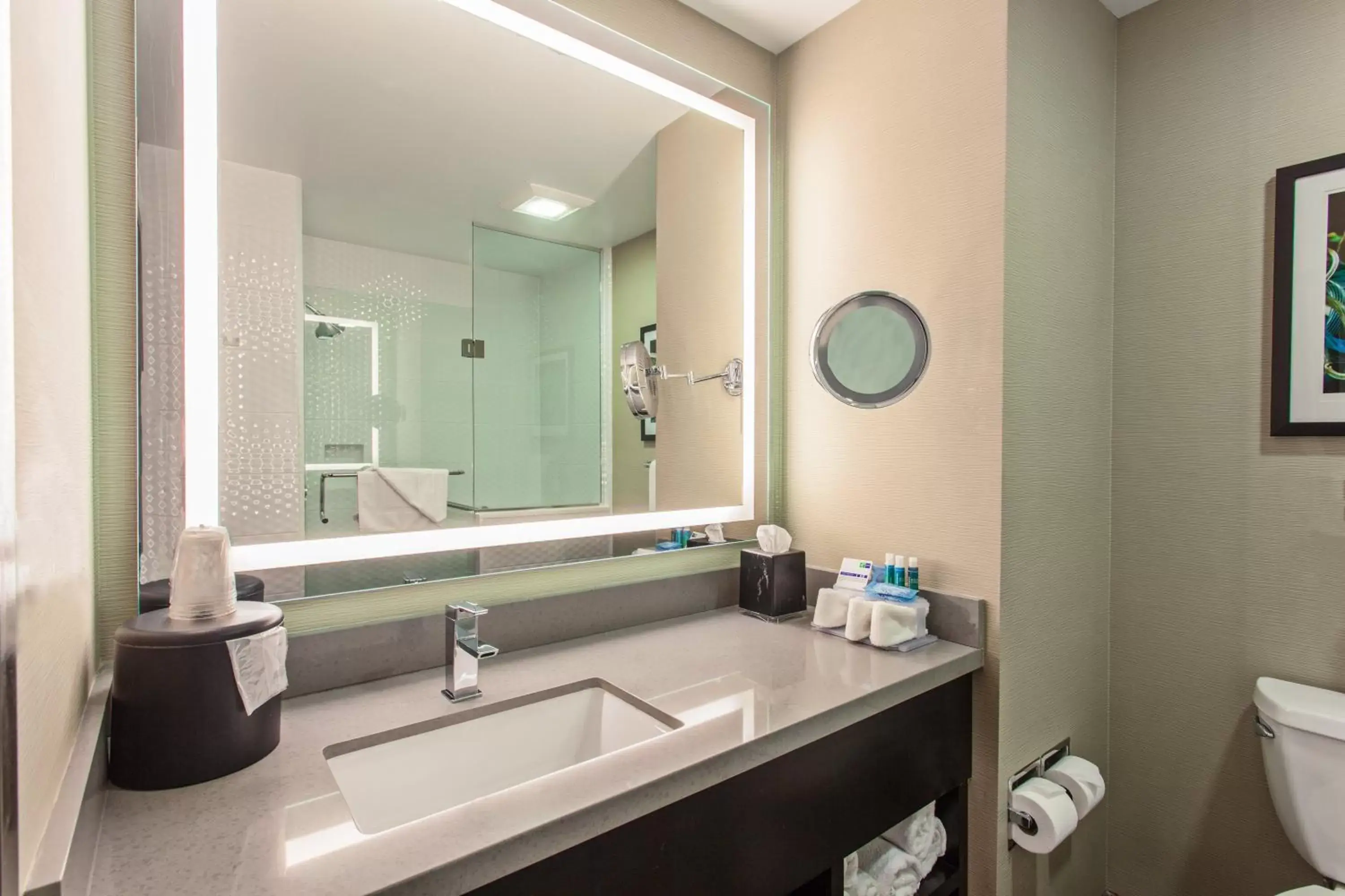 Photo of the whole room, Bathroom in Holiday Inn Express Hollywood Walk of Fame, an IHG Hotel