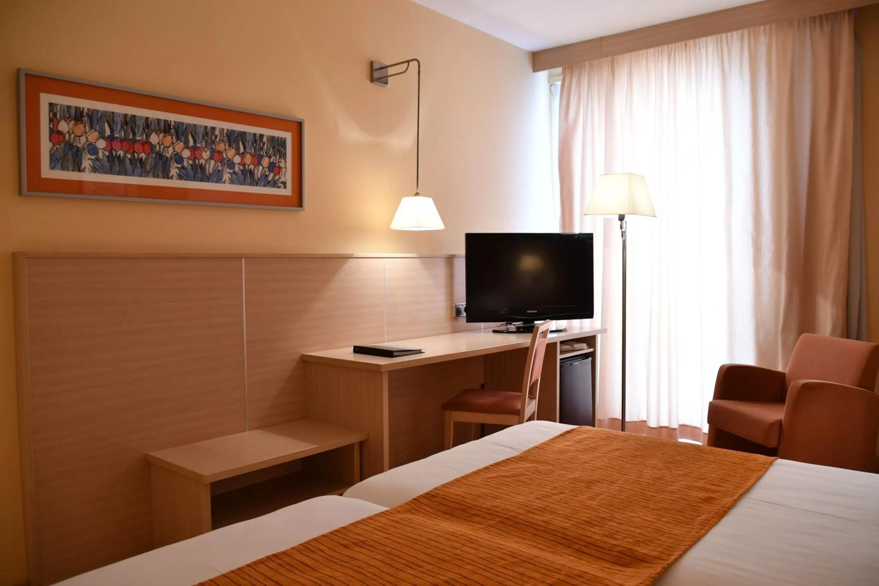 TV and multimedia, TV/Entertainment Center in Hotel Class Valls