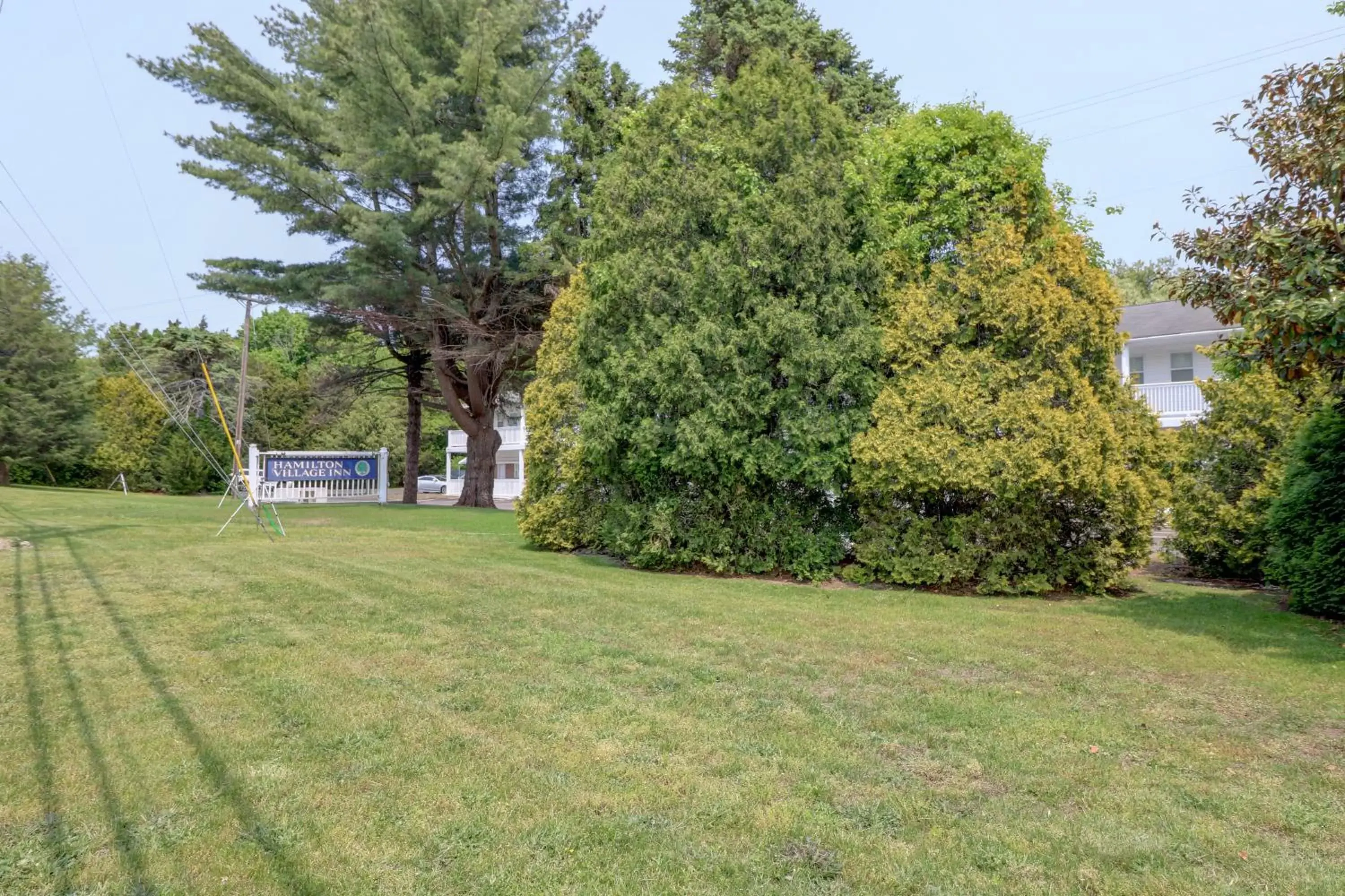 Natural landscape, Garden in Hamilton Village Inn