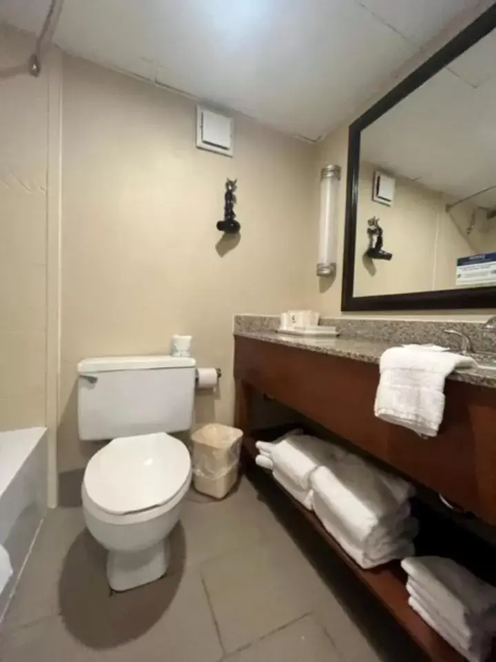 Bathroom in Comfort Inn Bloomington near University