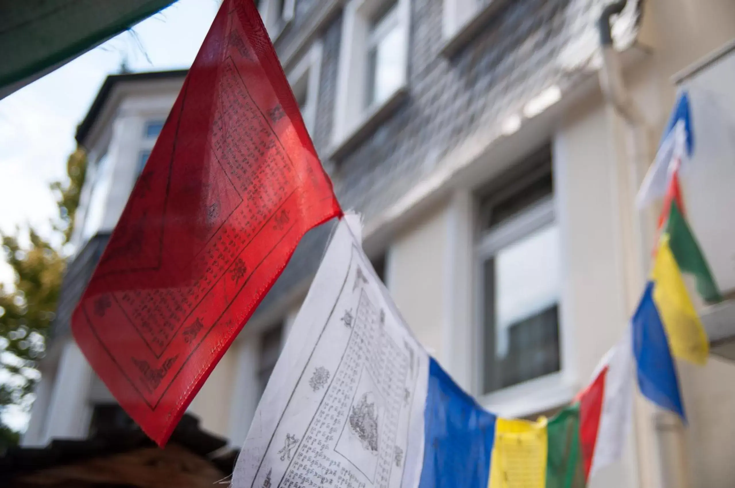 Property building in also-Hotel an der Hardt Property building in also-Hotel an der Hardt