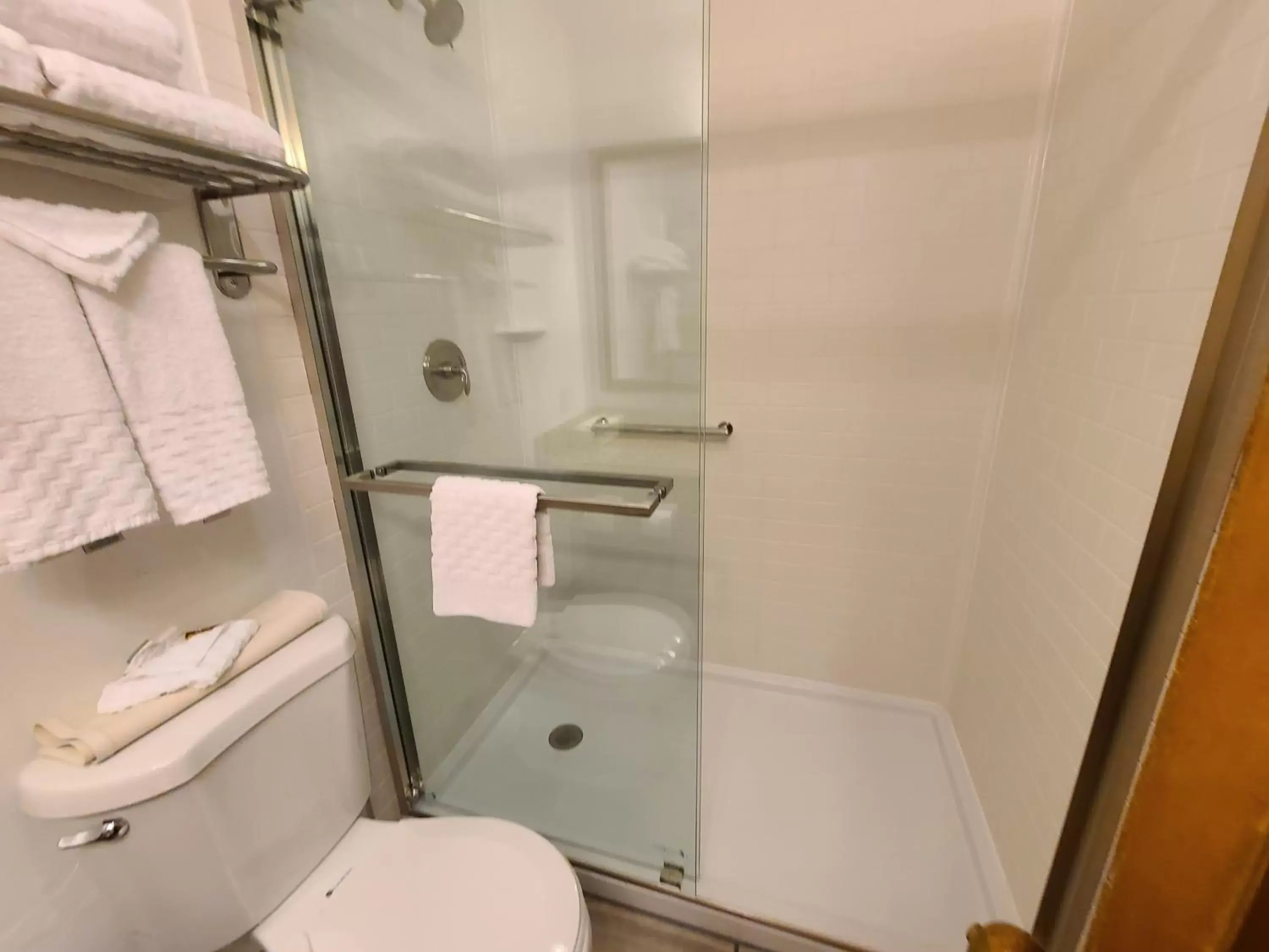Shower, Bathroom in Best Western Plus Rio Grande Inn