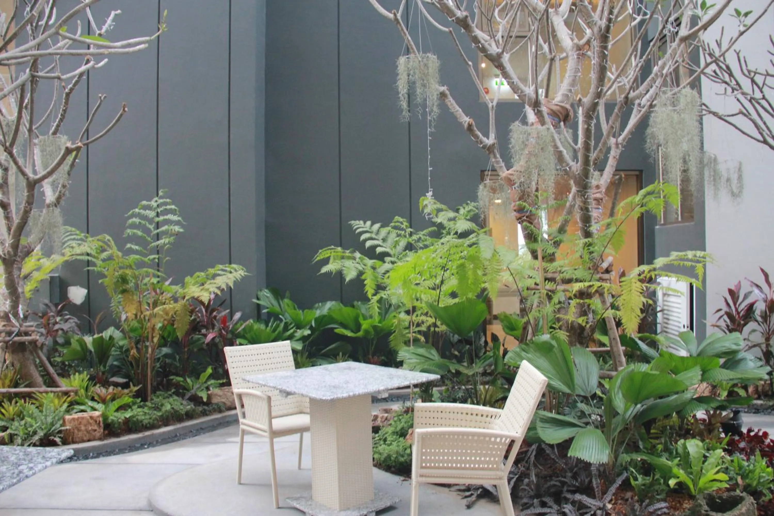 Garden in Stay with Nimman Chiang Mai