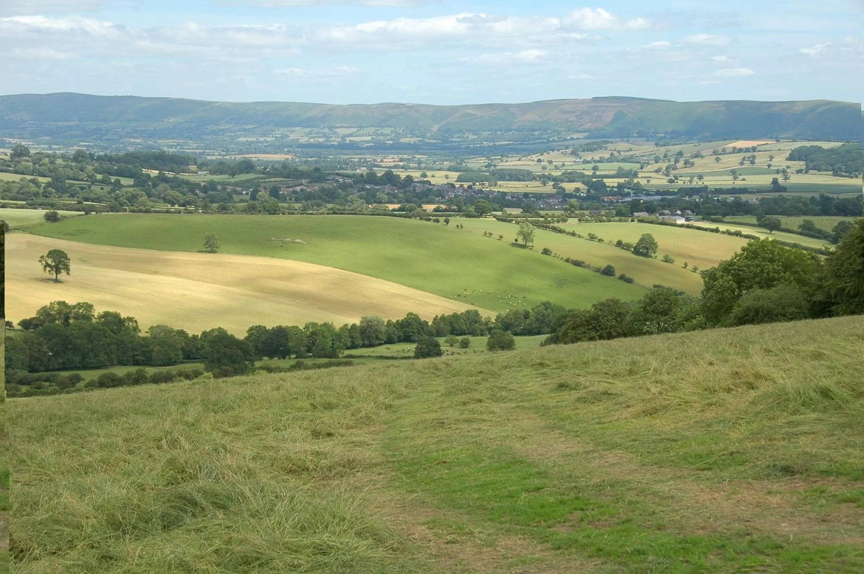 Summer in Middle Woodbatch B&B