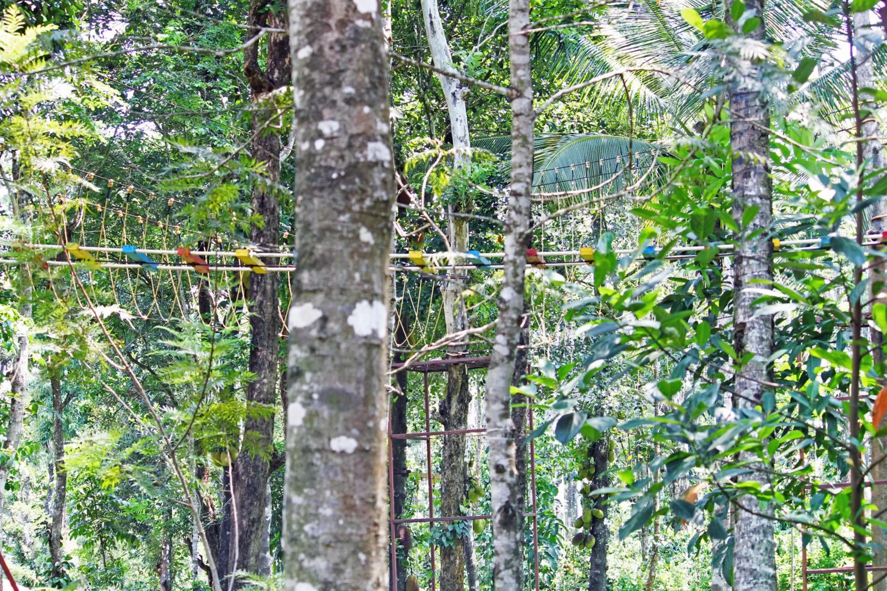 Garden view in CS County Resort