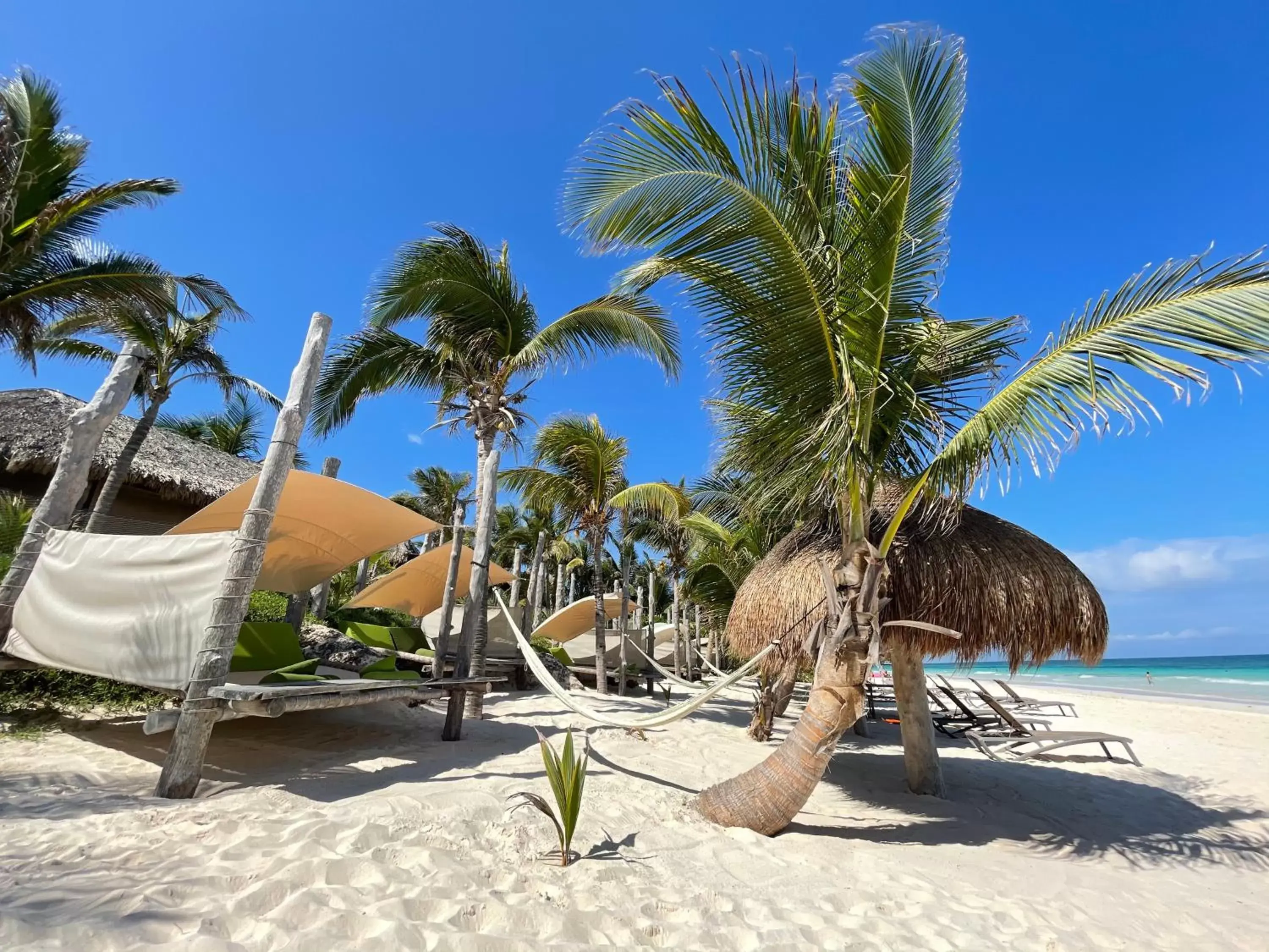 Beach in Sueños Tulum