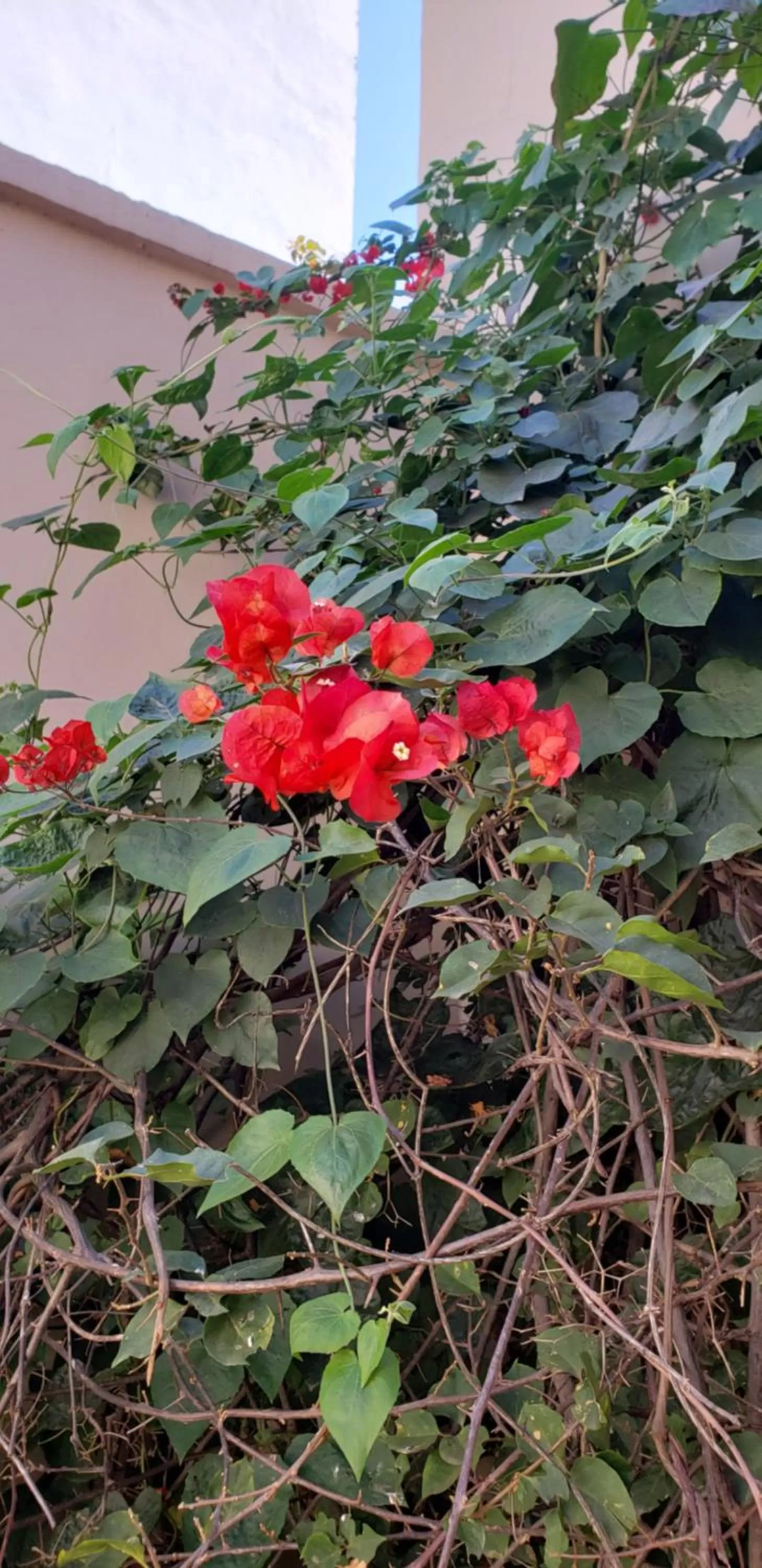 Posta del Ángel - Salta