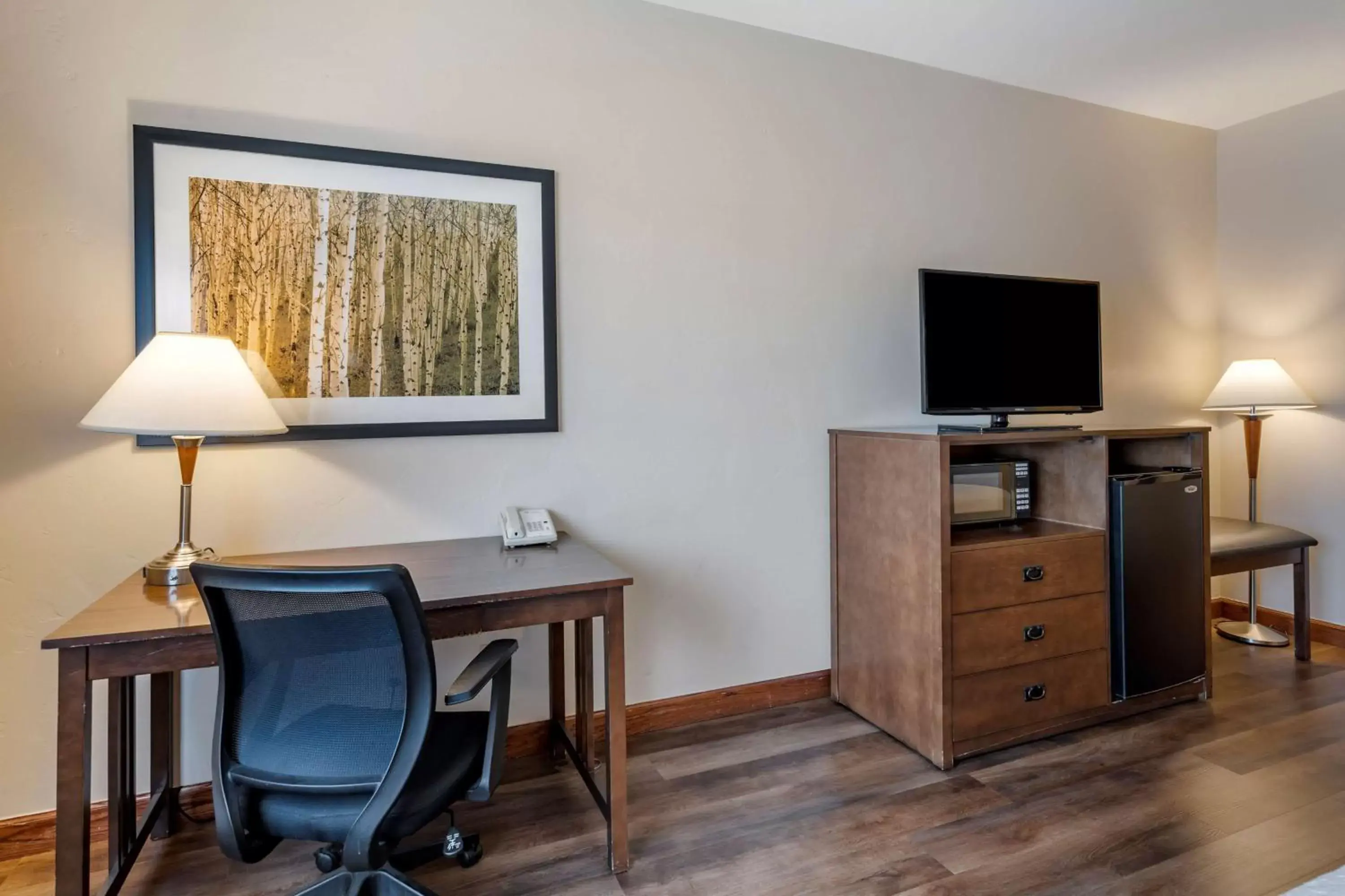 Bedroom, TV/Entertainment Center in Best Western Desert Inn