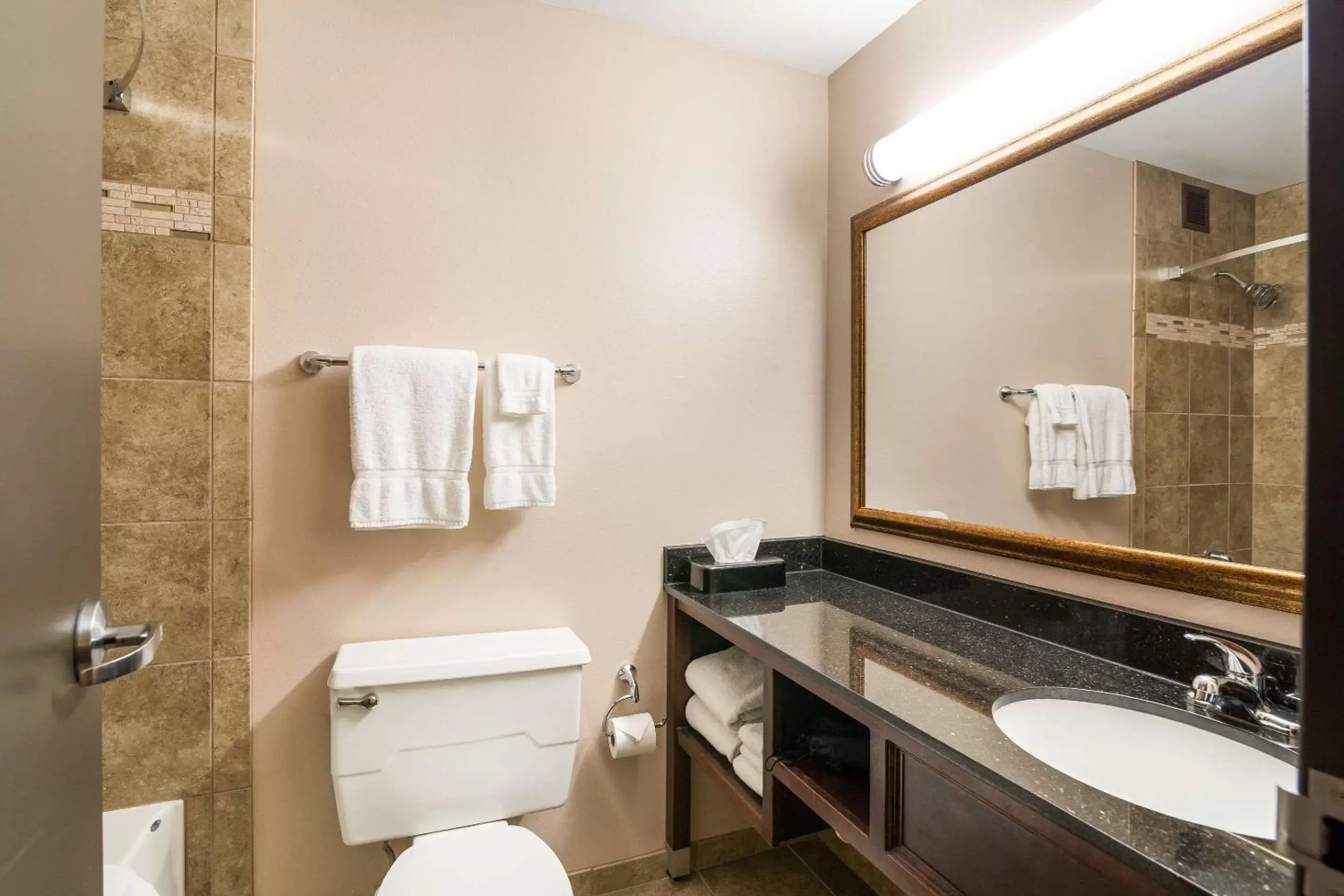 Bathroom in Clarion Hotel Convention Center