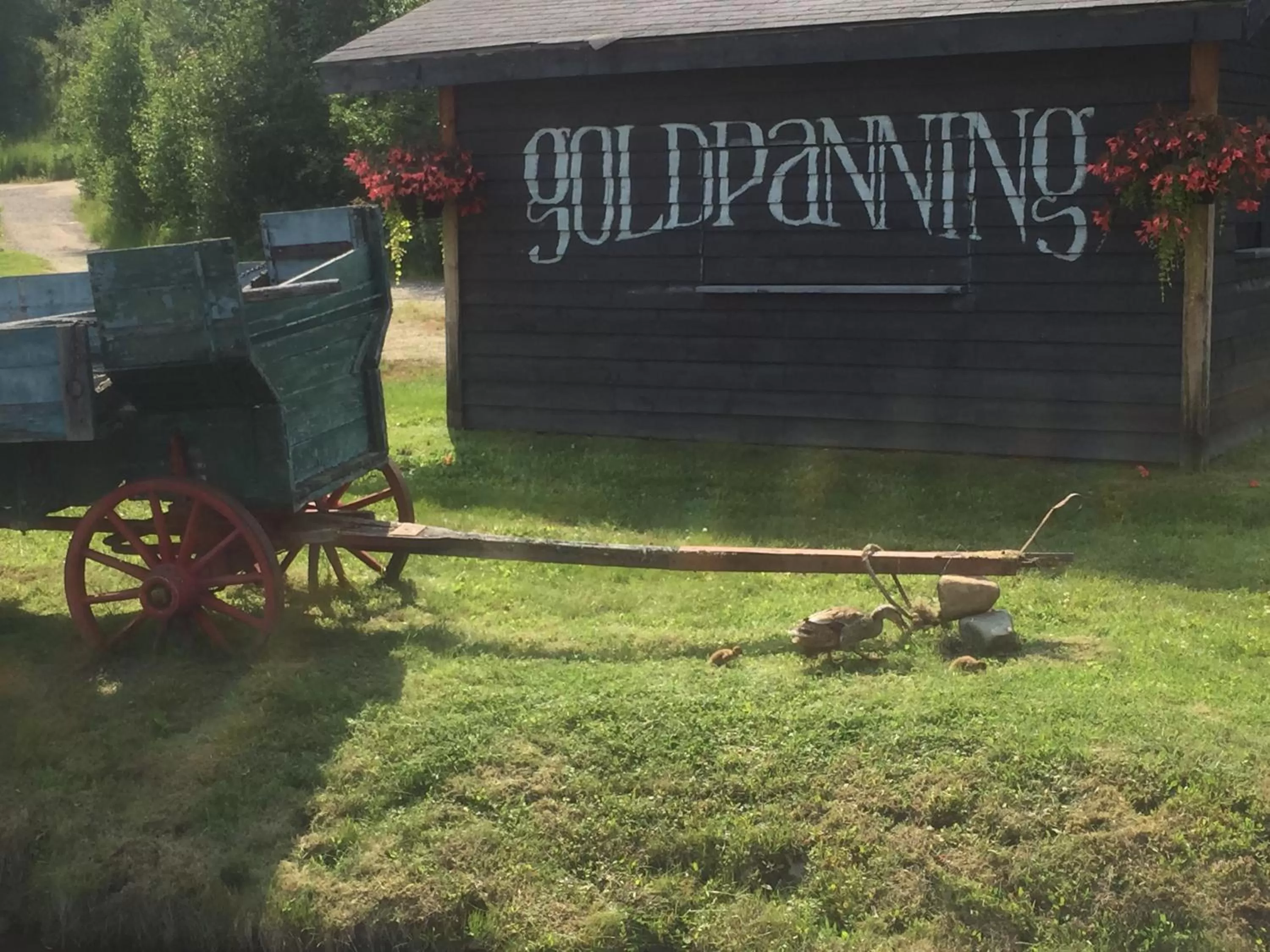 Property building in Chena Hot Springs Resort