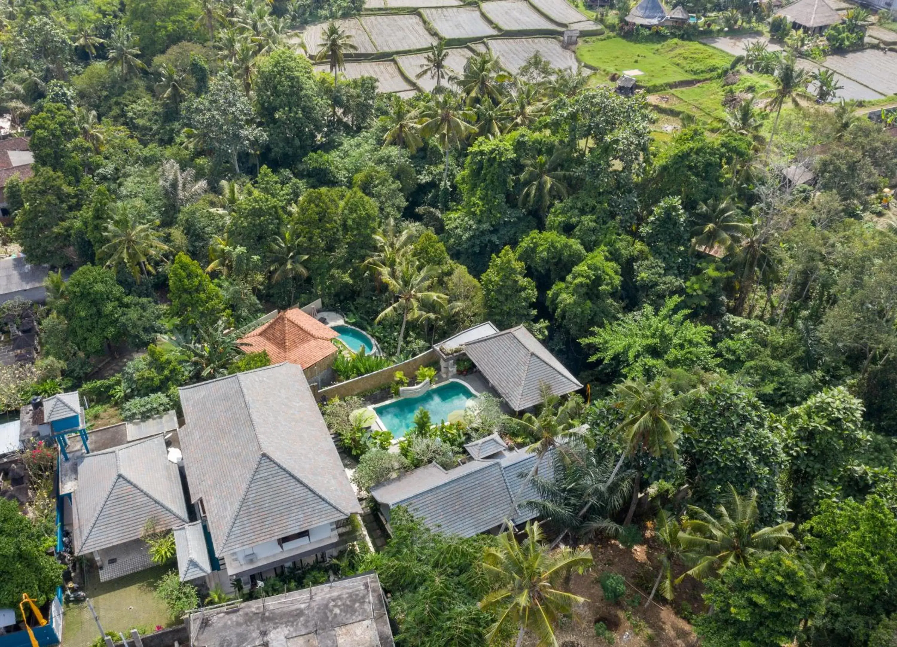 Bird's eye view, Bird's-eye View in Kano Sari Ubud Villas