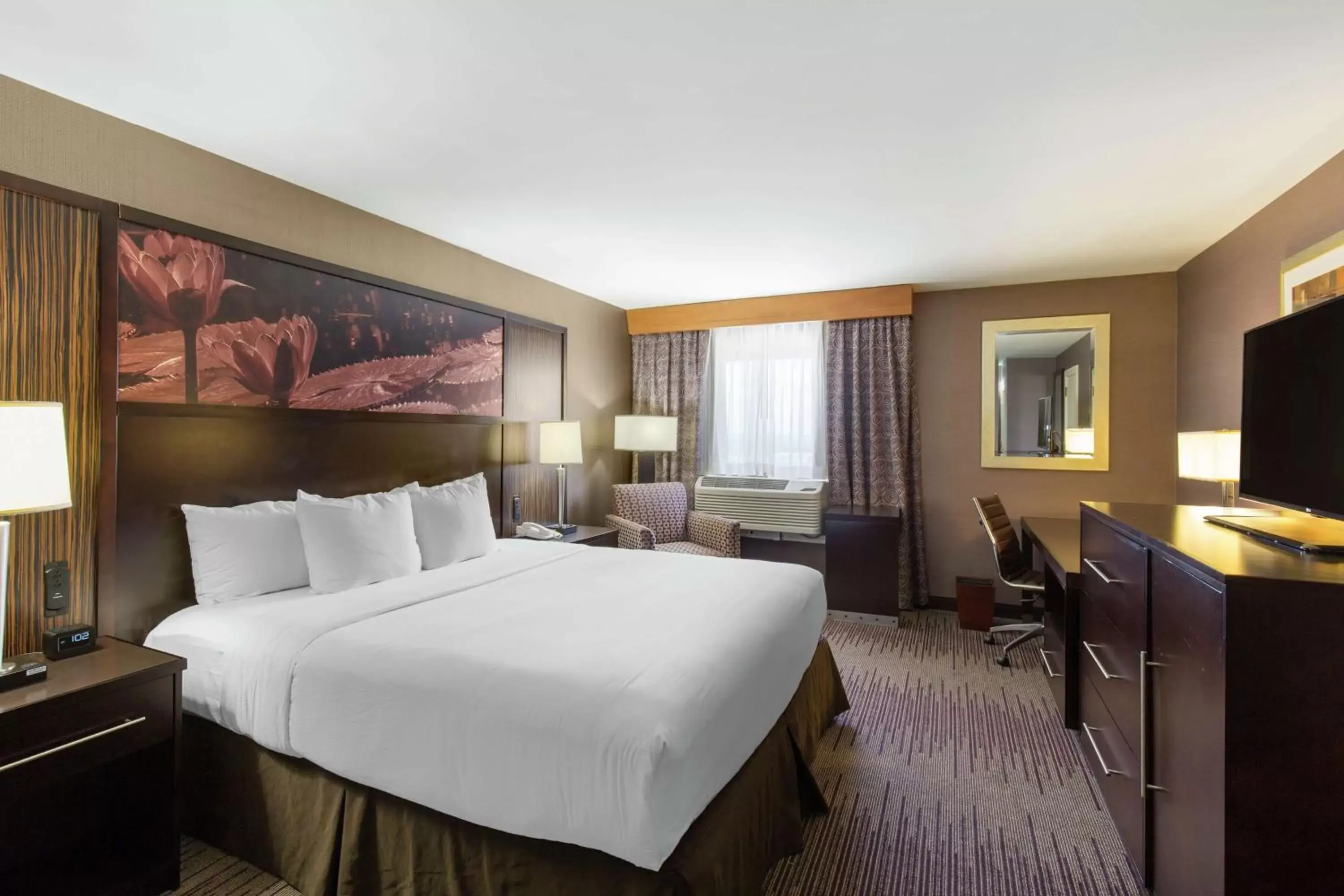 Deluxe King Room with Panoramic City View - Mobility Accessible Tub in DoubleTree by Hilton Downtown Wilmington - Legal District Deluxe King Room with Panoramic City View - Mobility Accessible Tub in DoubleTree by Hilton Downtown Wilmington - Legal District