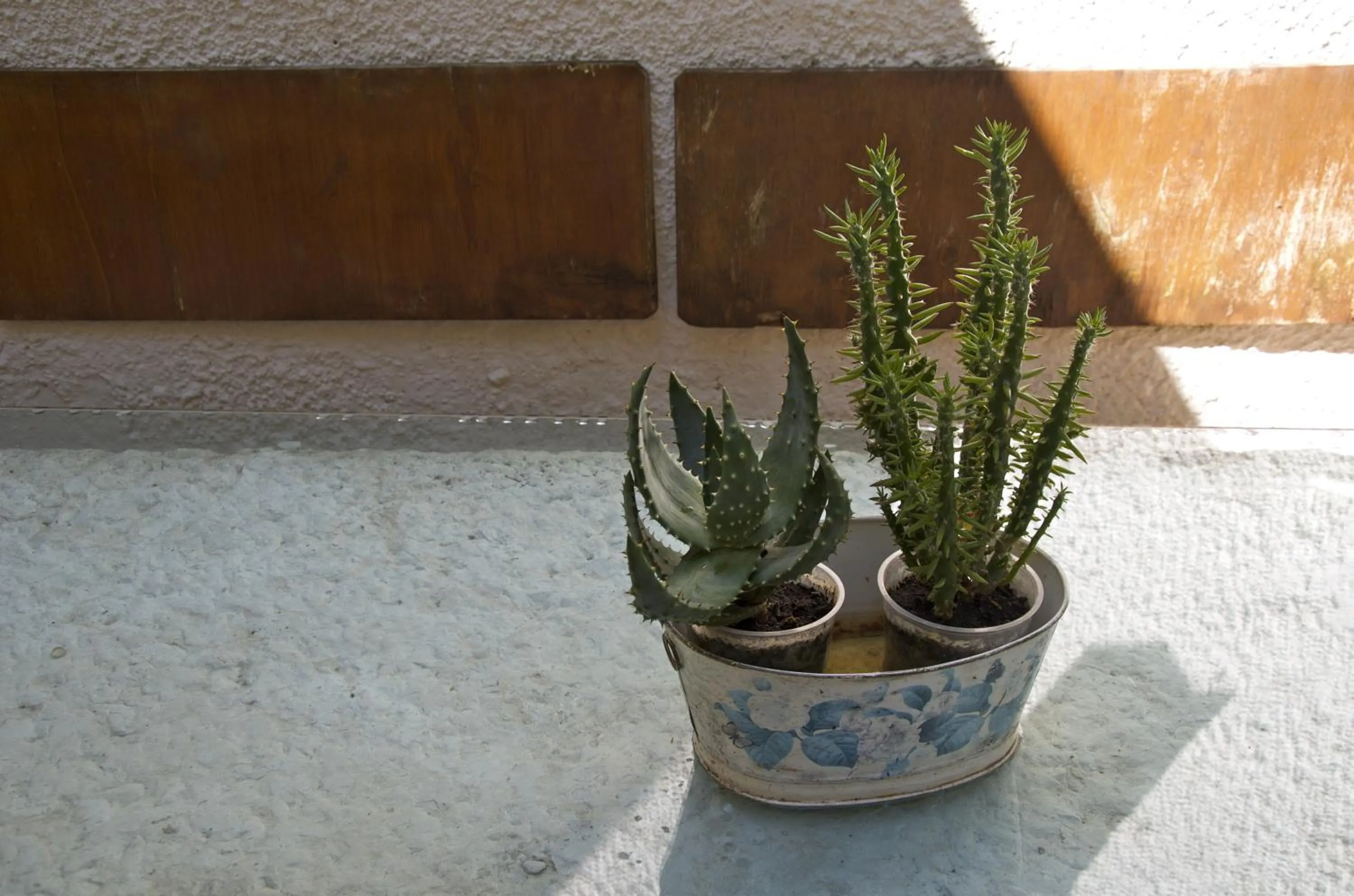 Decorative detail in Hotel San Filis